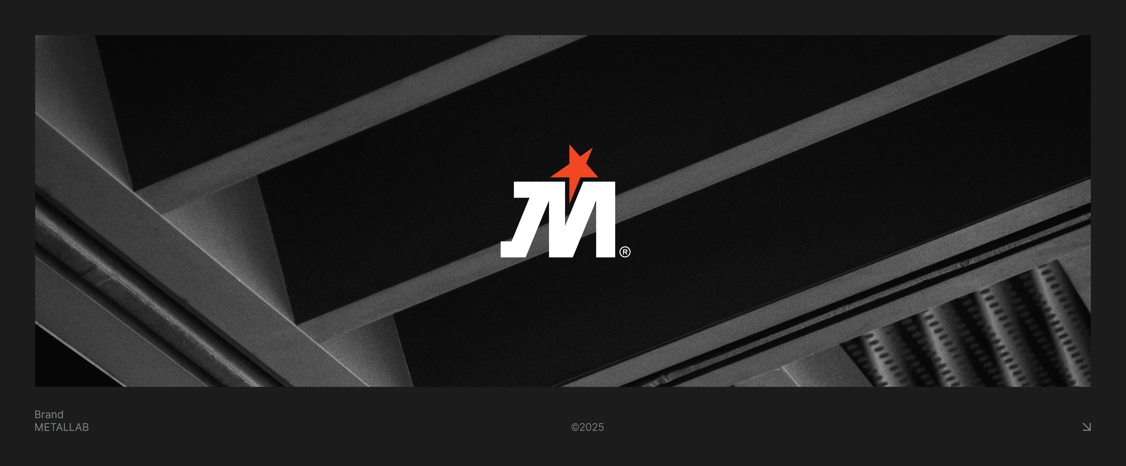 МЕТАЛЛАБ — Изображение №1 — Брендинг на Dprofile