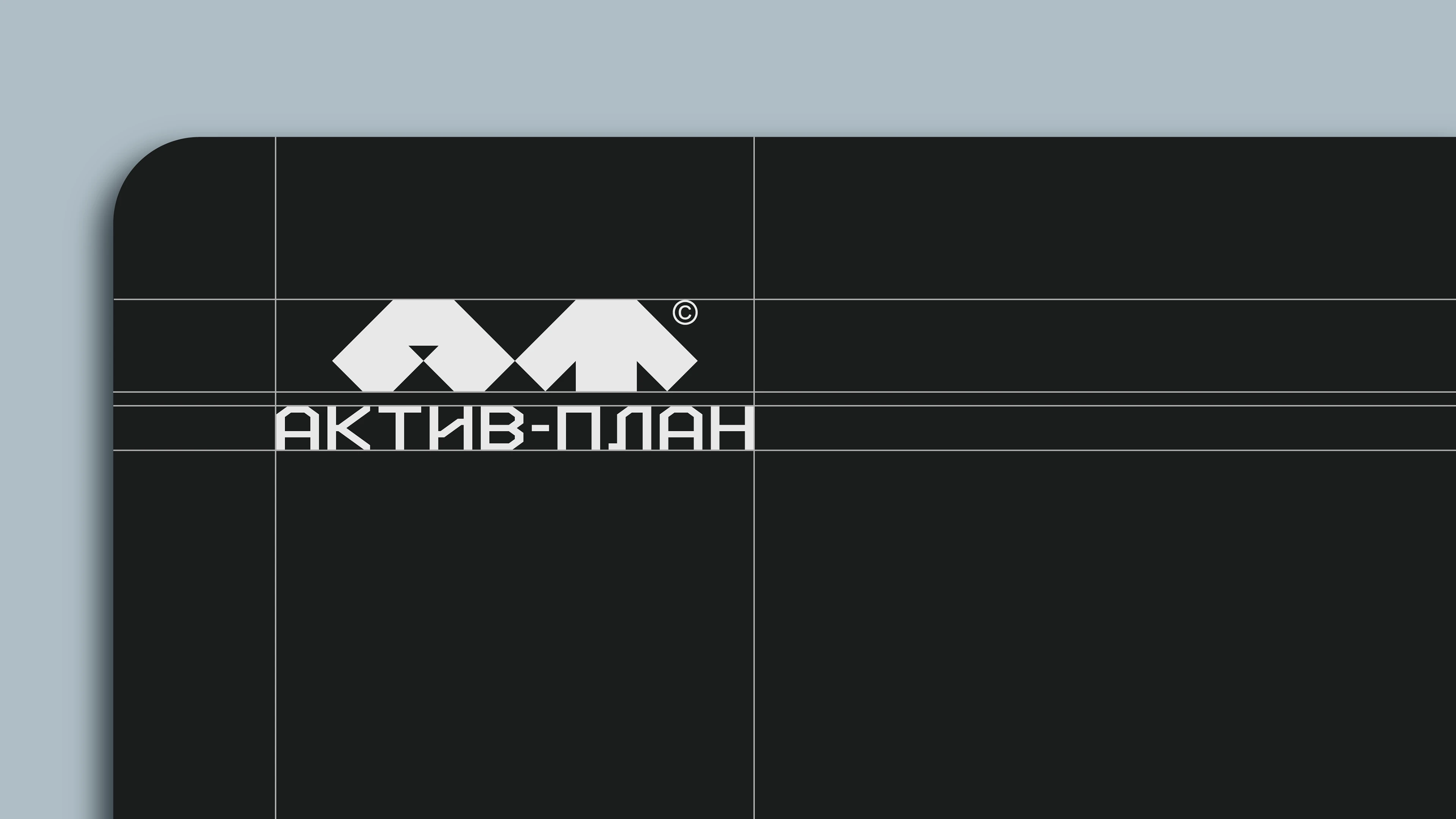 АКТИВ-ПЛАН — Изображение №2 — Брендинг на Dprofile