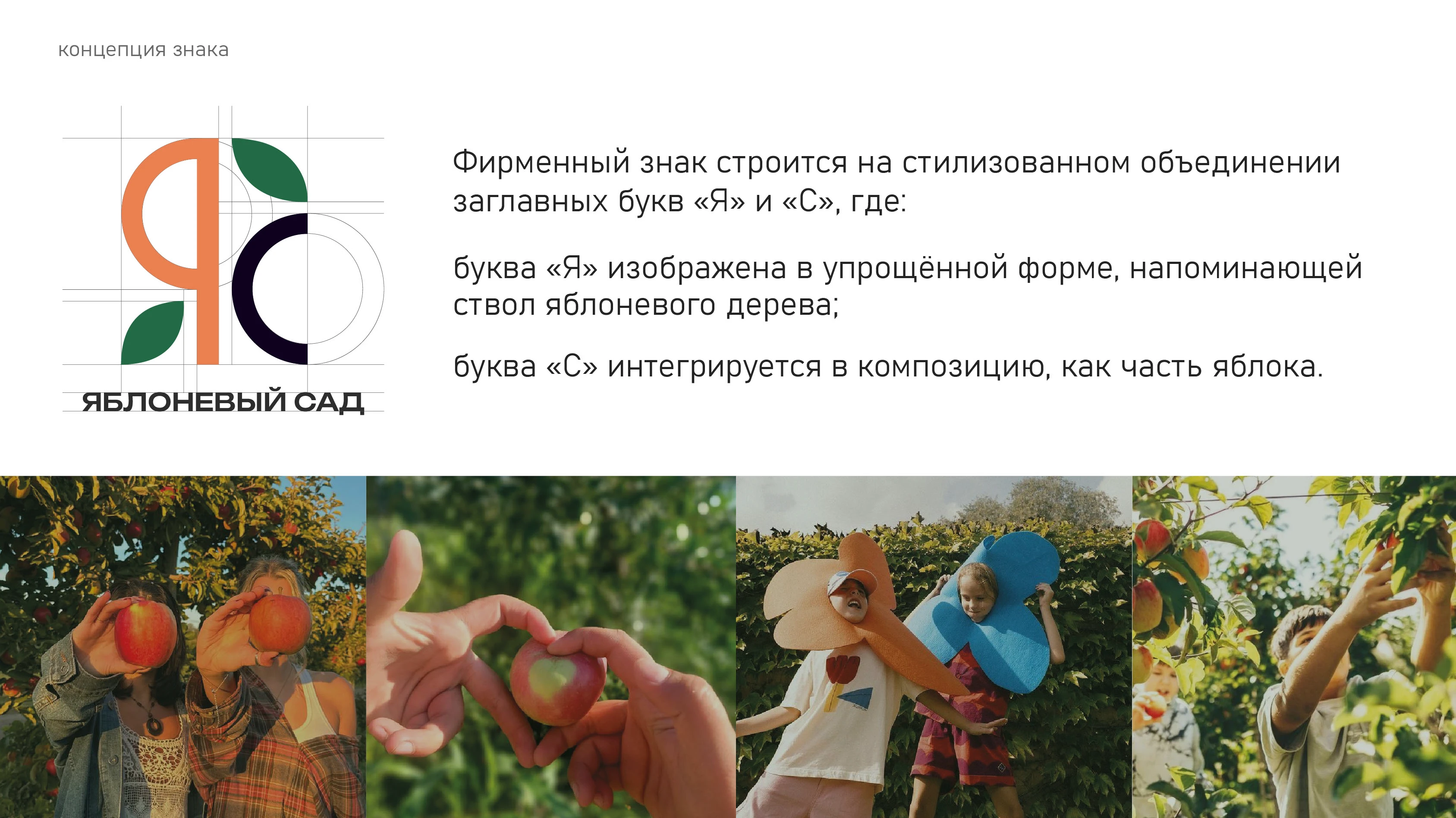 Территориальный бренд "ЯБЛОНЕВЫЙ САД"/Фрунзенский район — Изображение №4 — Брендинг, Графика на Dprofile