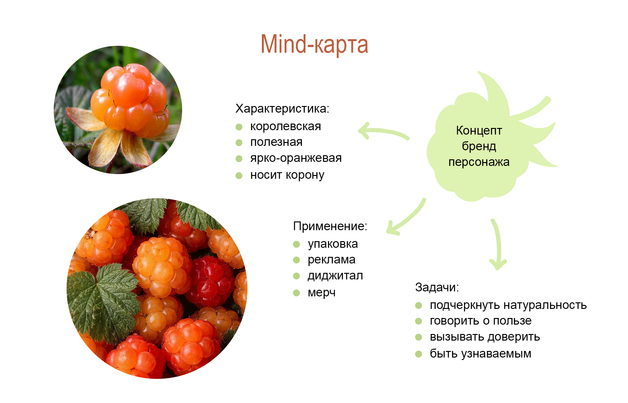 Концепция бренд-персонажа для производителя натуральных про… — Изображение №2 — Брендинг, Иллюстрация на Dprofile
