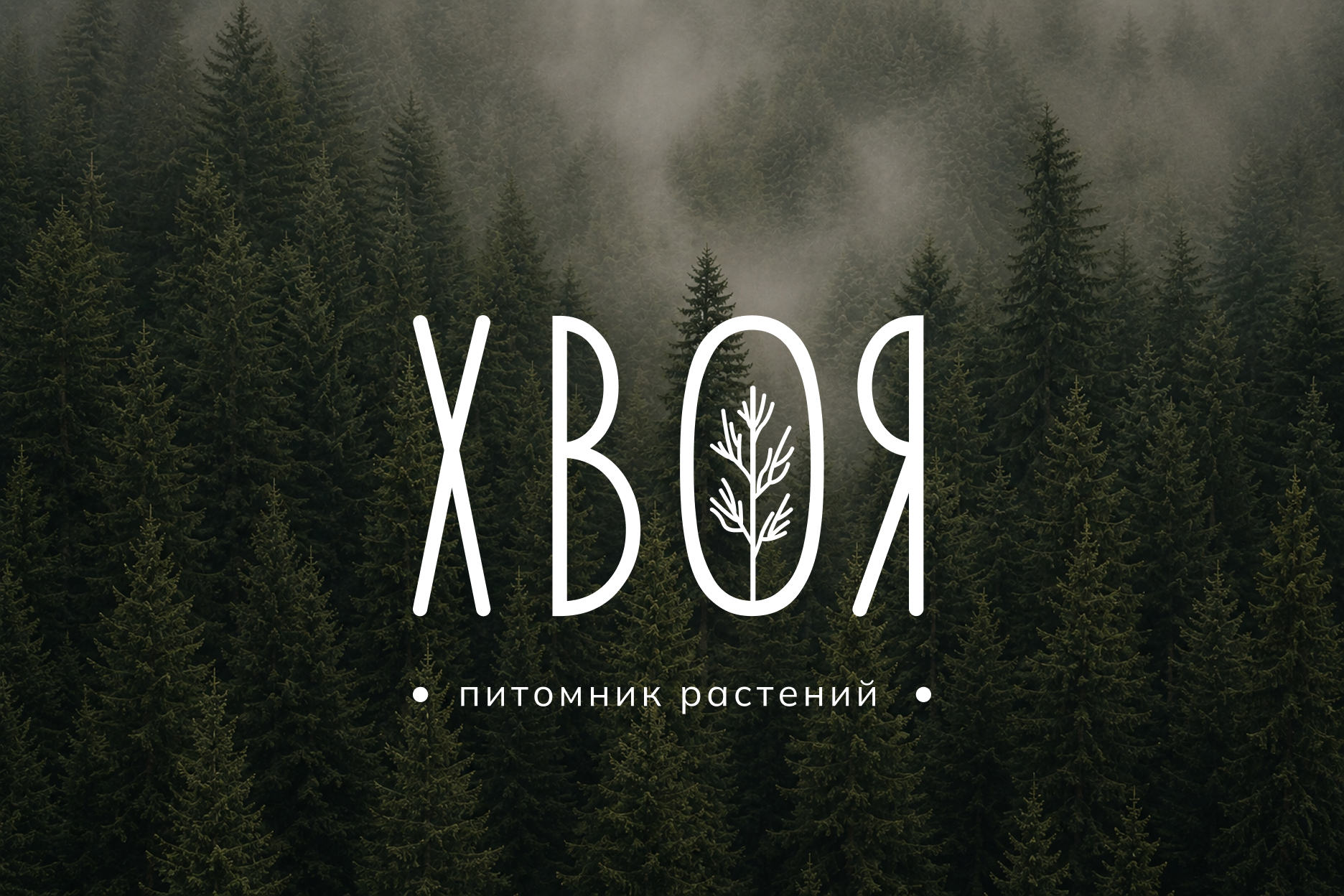 Логотип для питомника растений — Изображение №1 — Брендинг на Dprofile