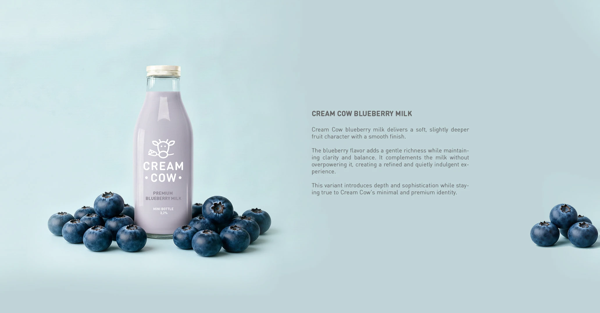 Логотип и упаковка для бренда молока — Изображение №8 — Интерфейсы, Брендинг на Dprofile