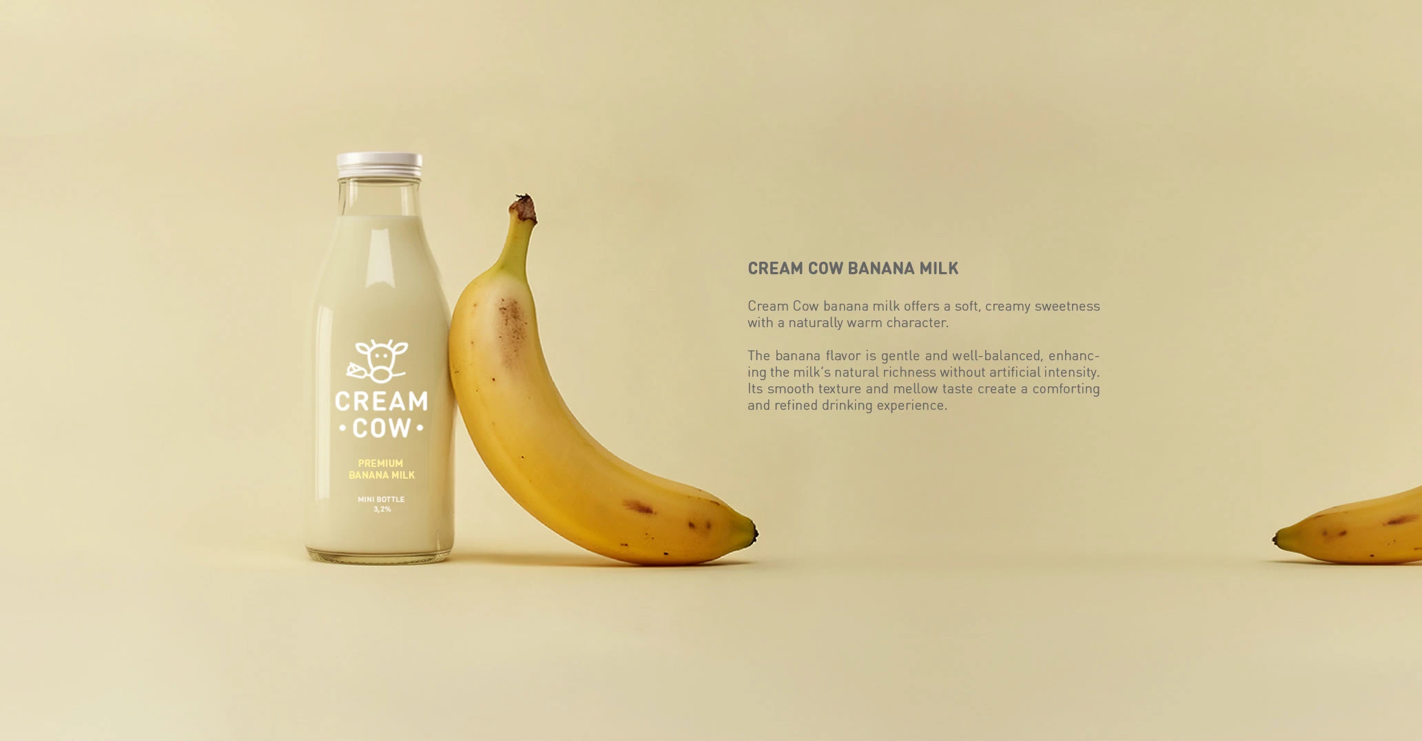 Логотип и упаковка для бренда молока — Изображение №7 — Интерфейсы, Брендинг на Dprofile