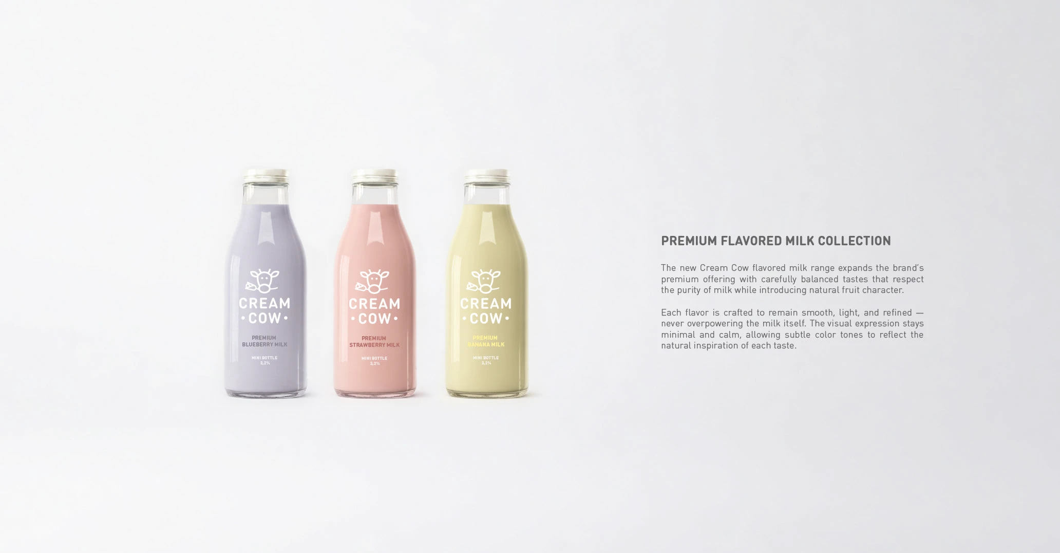 Логотип и упаковка для бренда молока — Изображение №6 — Интерфейсы, Брендинг на Dprofile