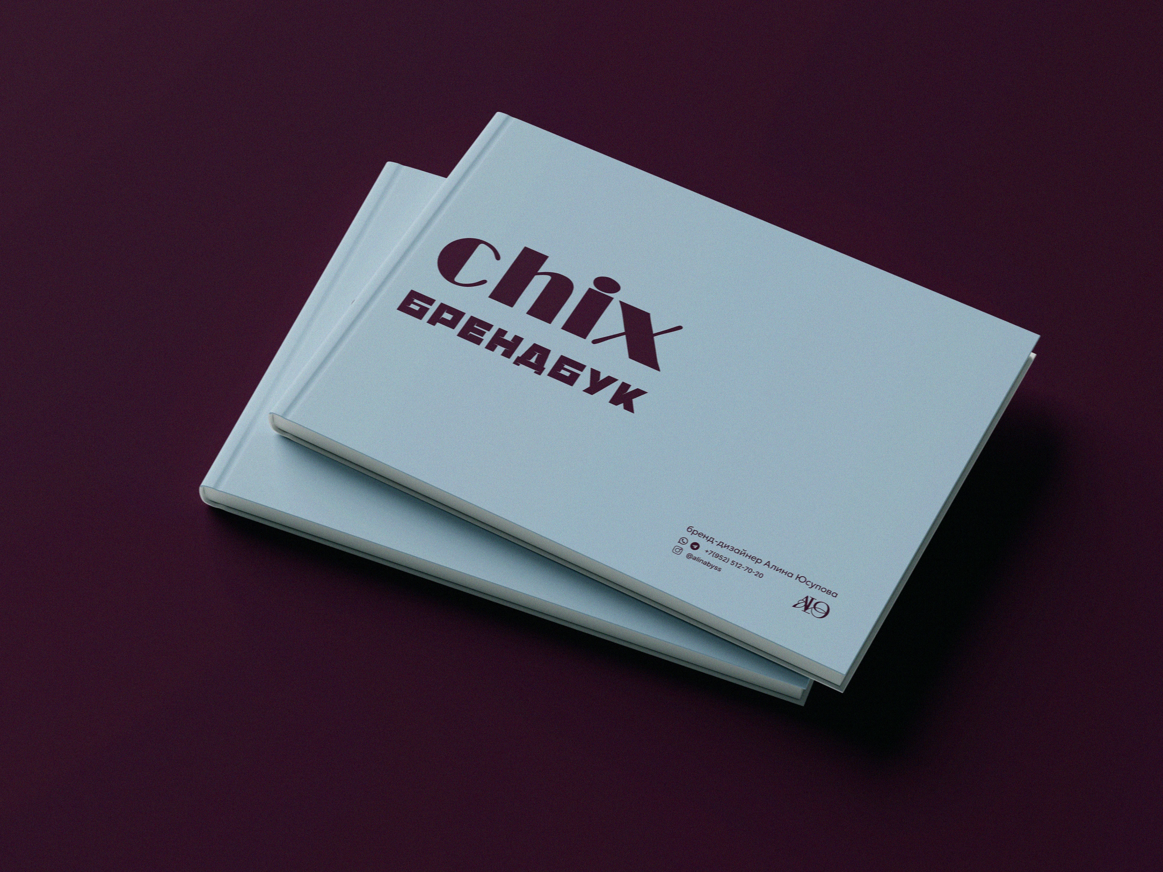 Брендинг, брендбук, фирменный стиль для бренда сумок, магазина одежды, украшений — Изображение №1 — Брендинг на Dprofile