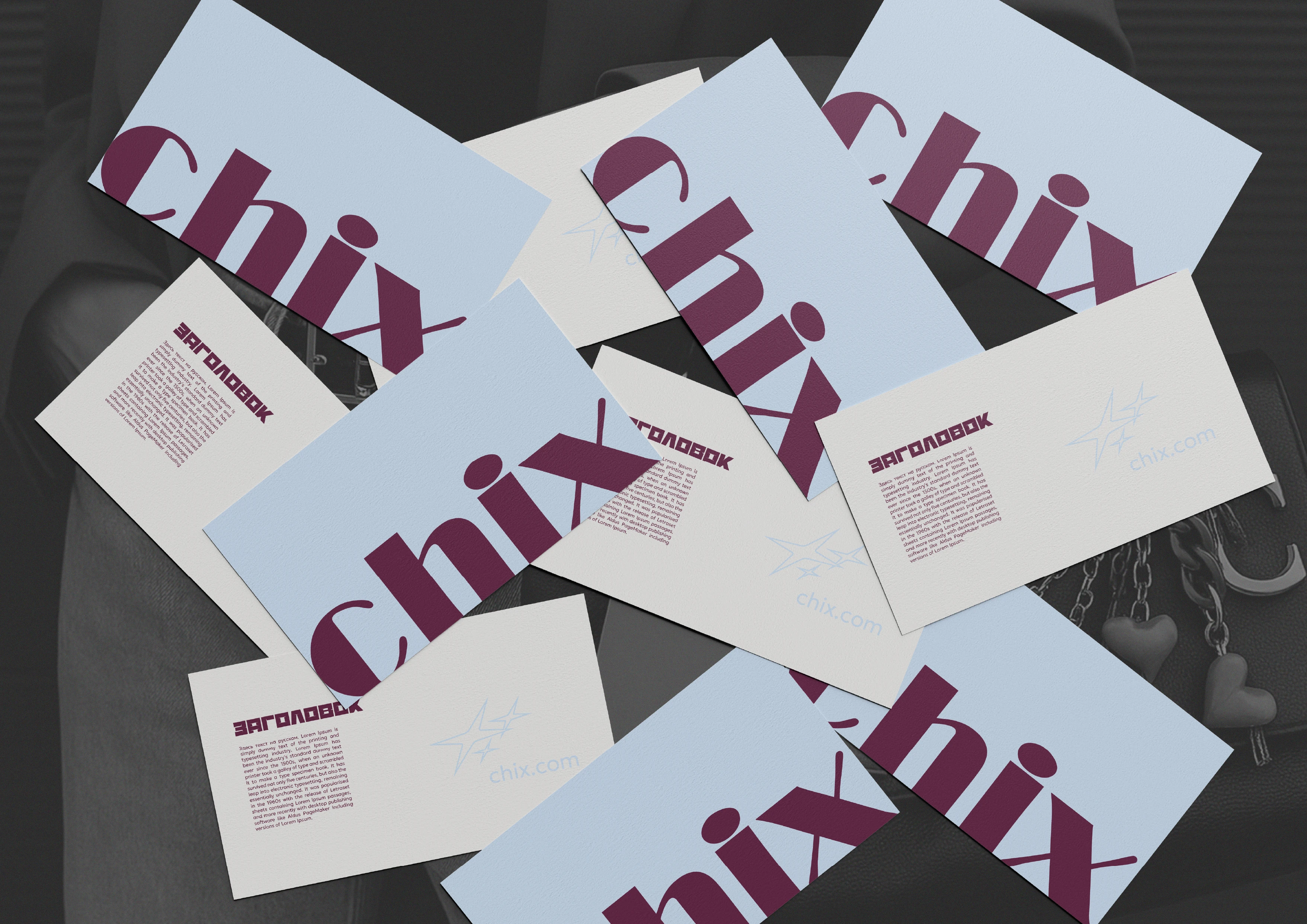 Брендинг, брендбук, фирменный стиль для бренда сумок, магазина одежды, украшений — Изображение №63 — Брендинг на Dprofile