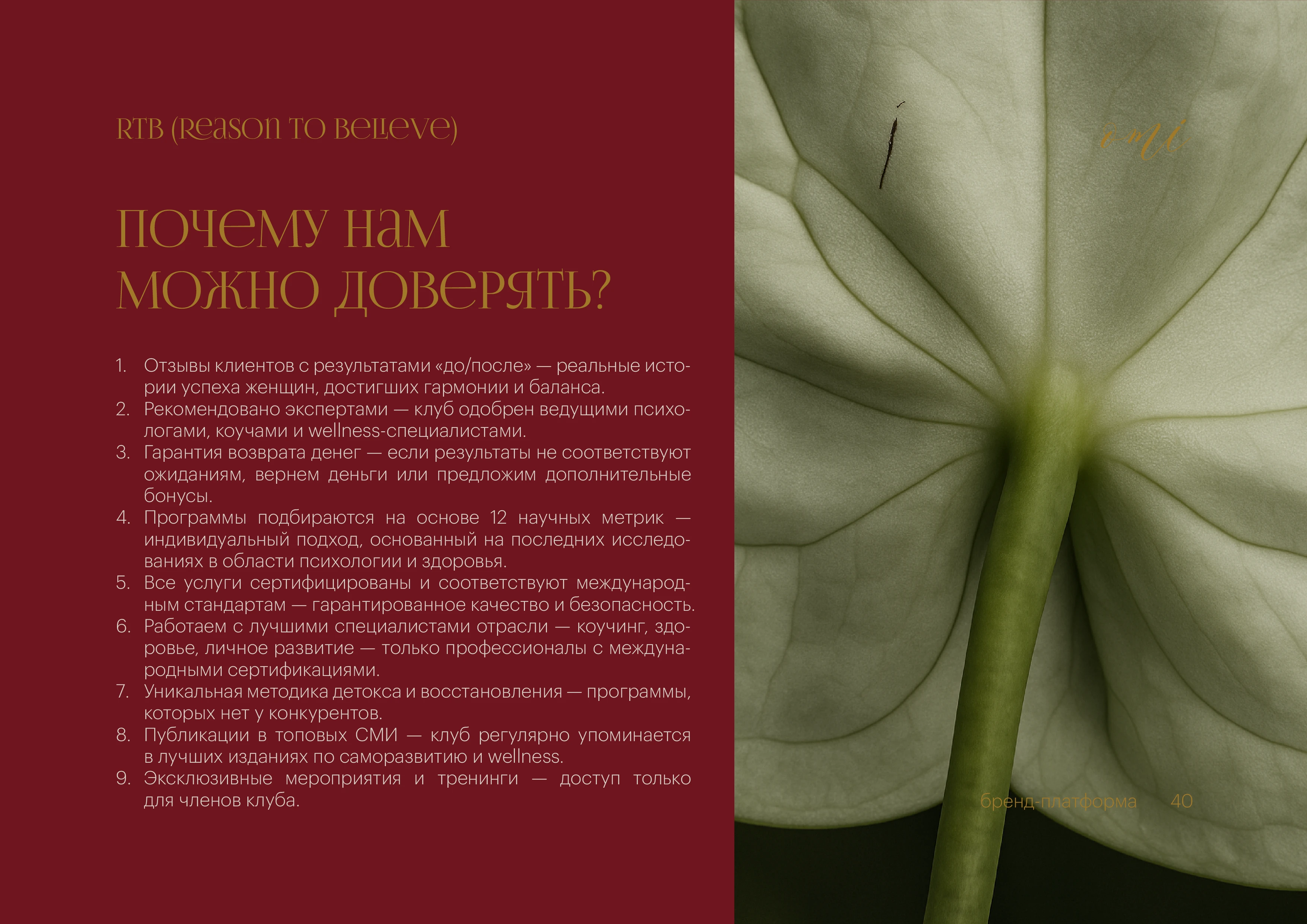 Брендинг, фирменный стиль, брендбук для женского клуба, салона красоты, студии йоги, спа — Изображение №34 — Брендинг на Dprofile