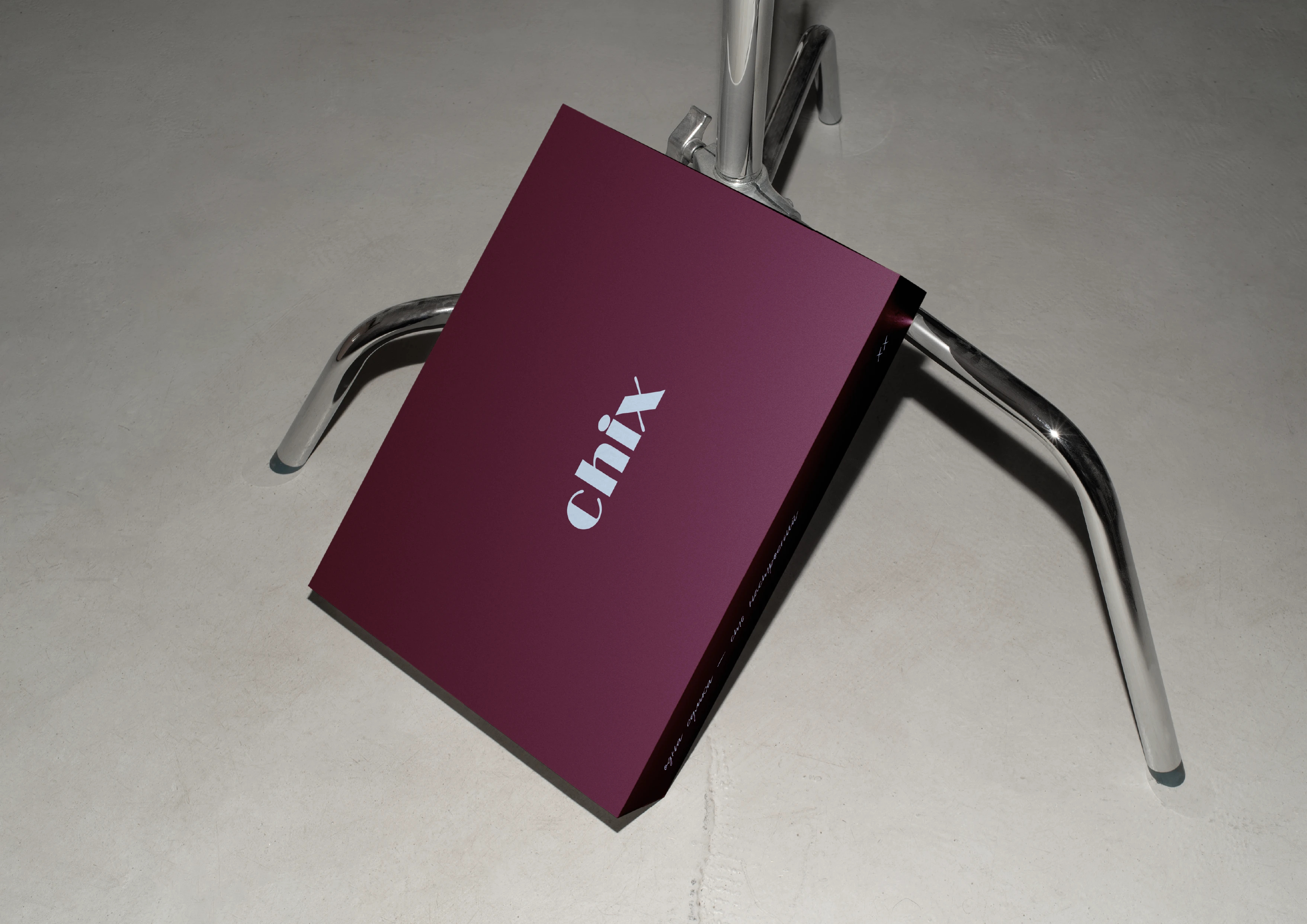 Брендинг, брендбук, фирменный стиль для бренда сумок, магазина одежды, украшений — Изображение №58 — Брендинг на Dprofile