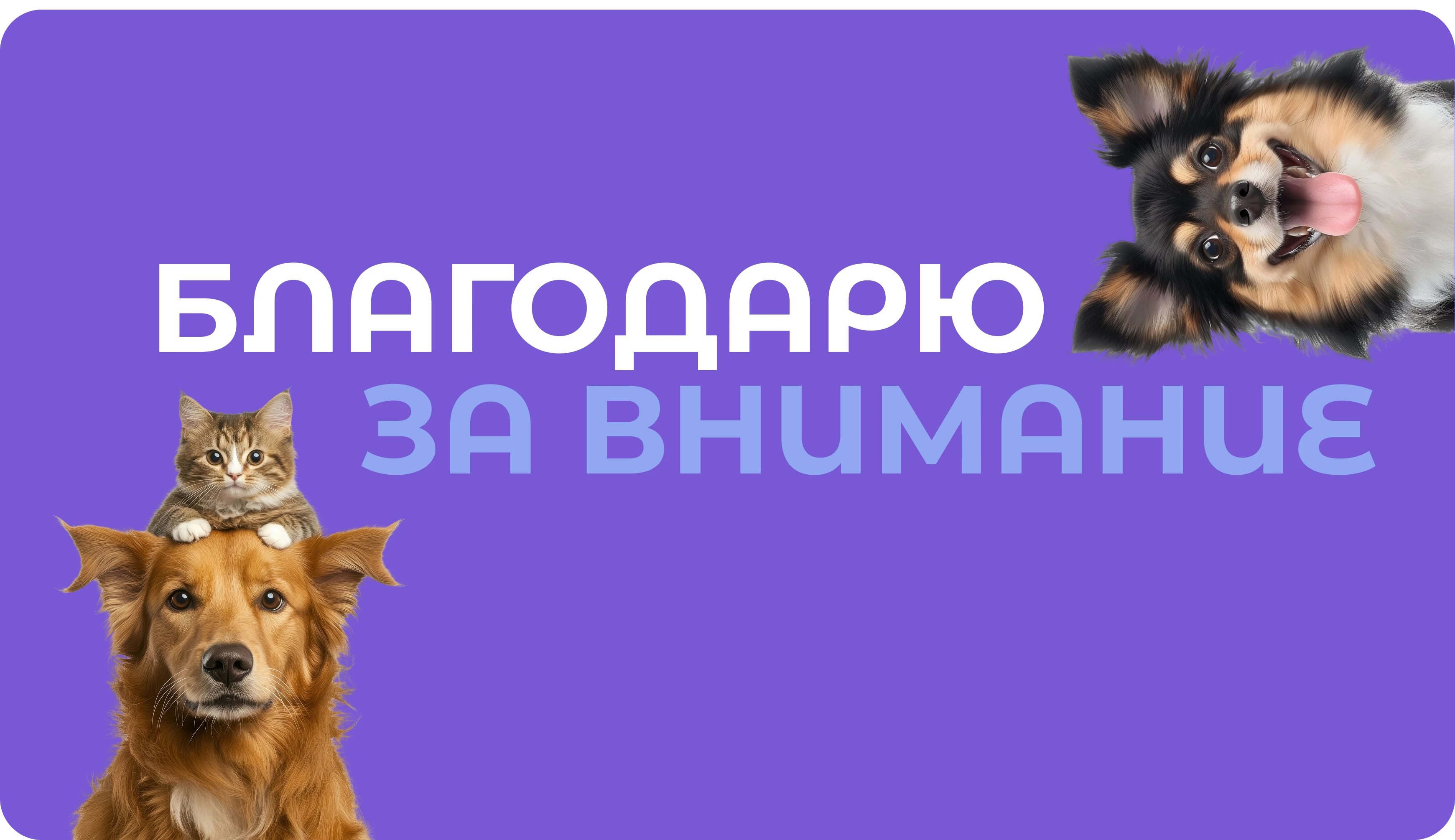 Landing page| Лендинг для ветеринарной клиники — Изображение №4 — Интерфейсы, Нейро на Dprofile