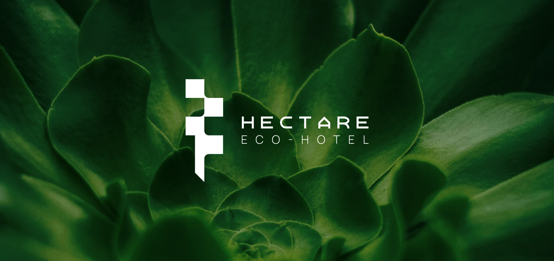 HECTARE [ ECO-HOTEL ] — Айдентика технологичного эко-отеля — Изображение №1 — Брендинг на Dprofile