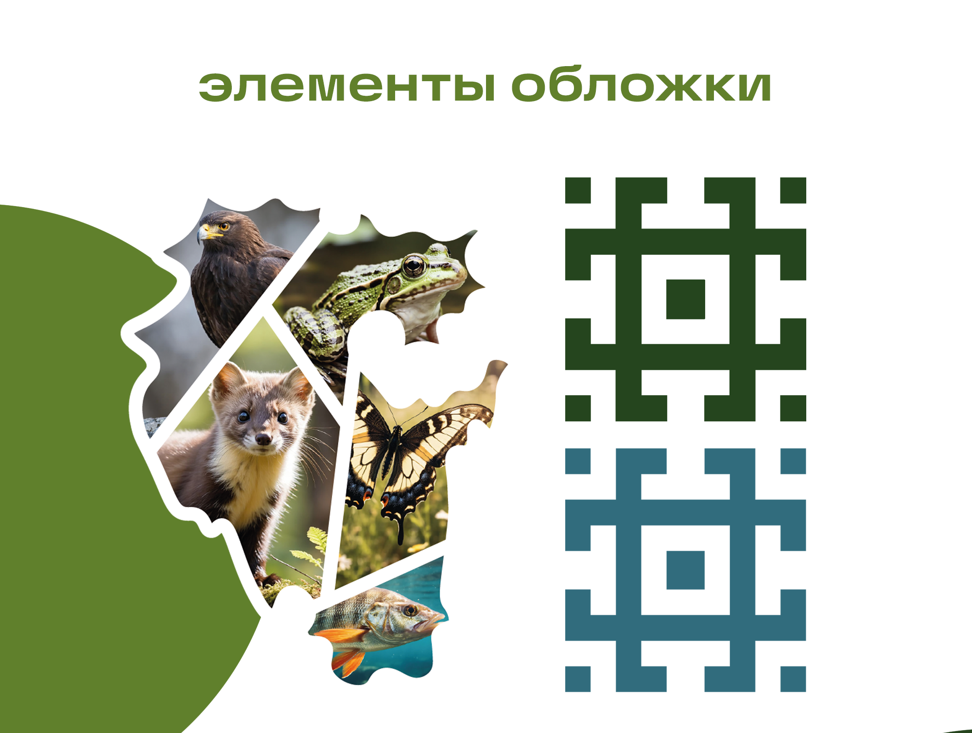 Каталог животных Башкортостана | Дизайн обложки — Изображение №6 — Графика на Dprofile