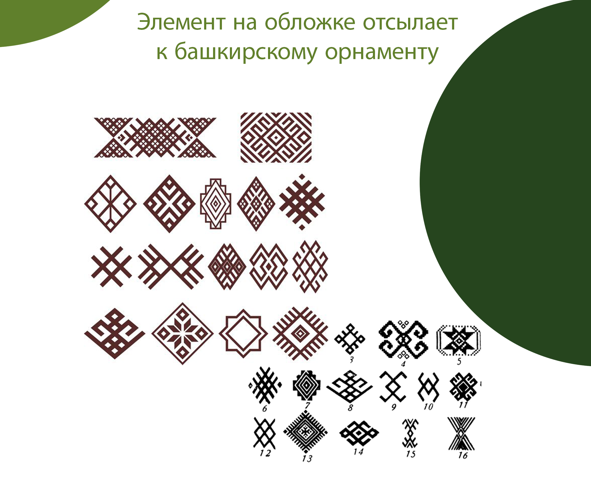 Каталог животных Башкортостана | Дизайн обложки — Изображение №7 — Графика на Dprofile