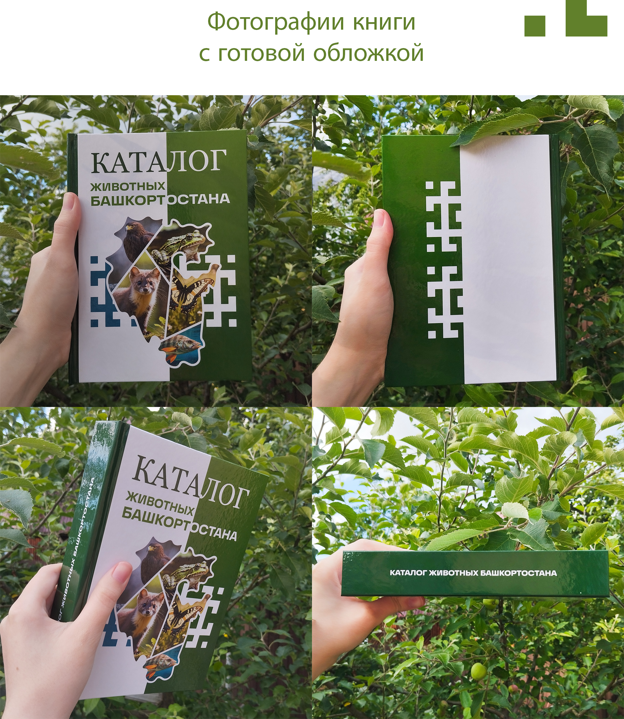 Каталог животных Башкортостана | Дизайн обложки — Изображение №5 — Графика на Dprofile