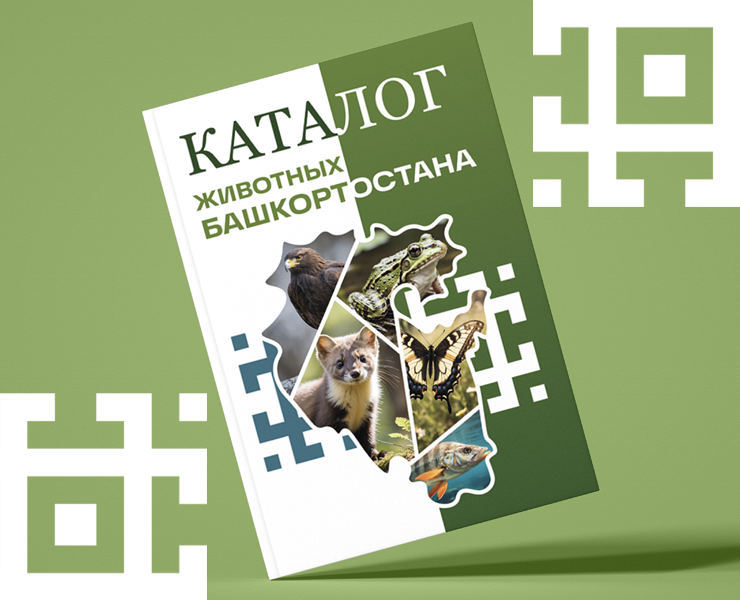 Каталог животных Башкортостана | Дизайн обложки на Dprofile