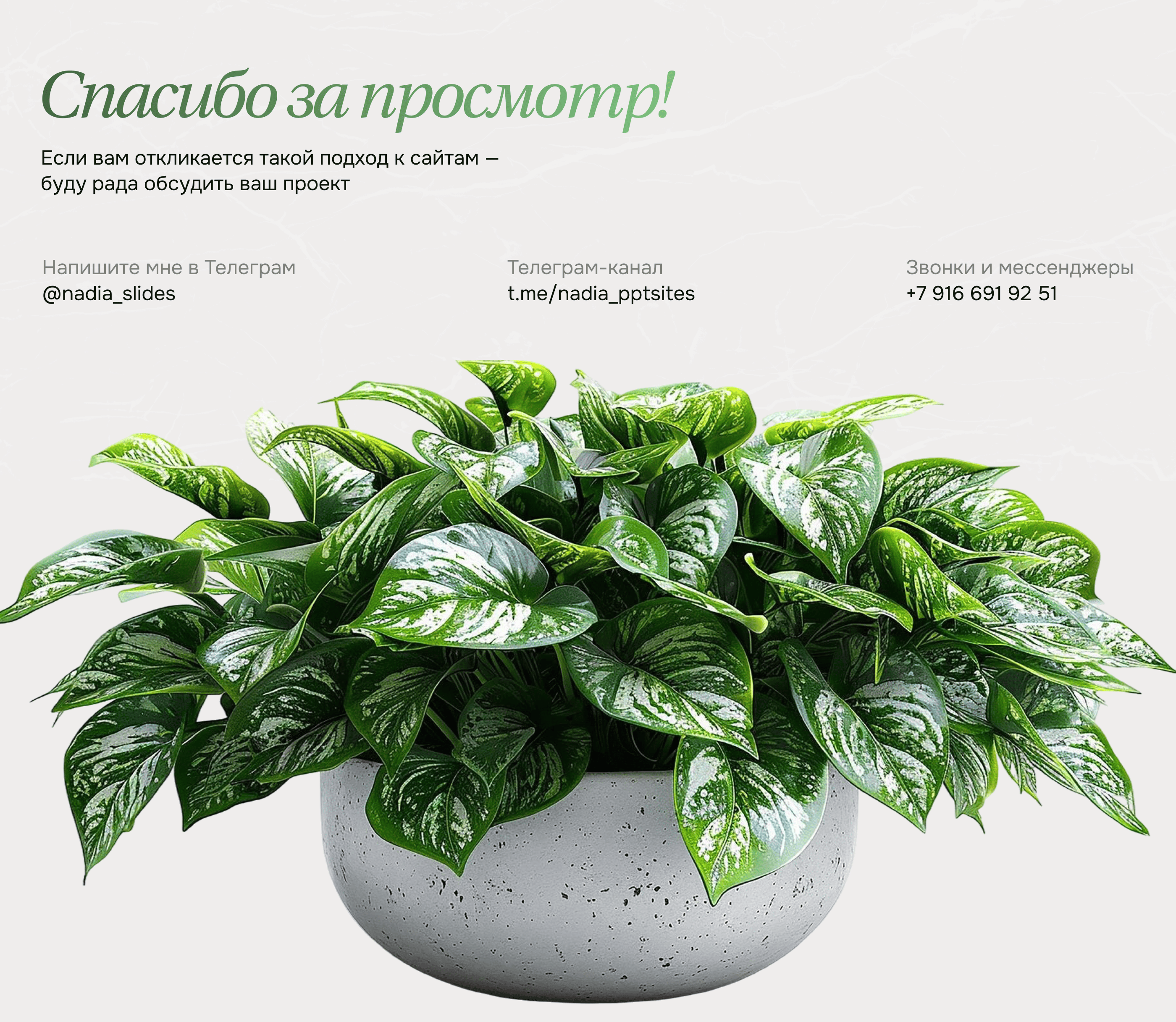 Вердея - сервис по аренде растений — Изображение №15 — Интерфейсы на Dprofile