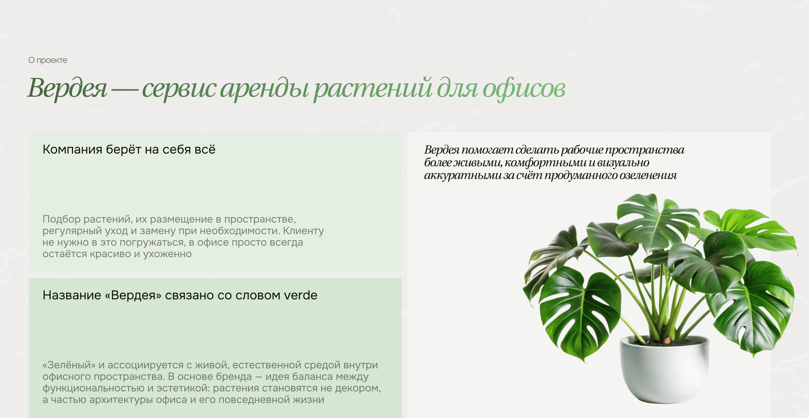 Вердея - сервис по аренде растений — Изображение №2 — Интерфейсы на Dprofile
