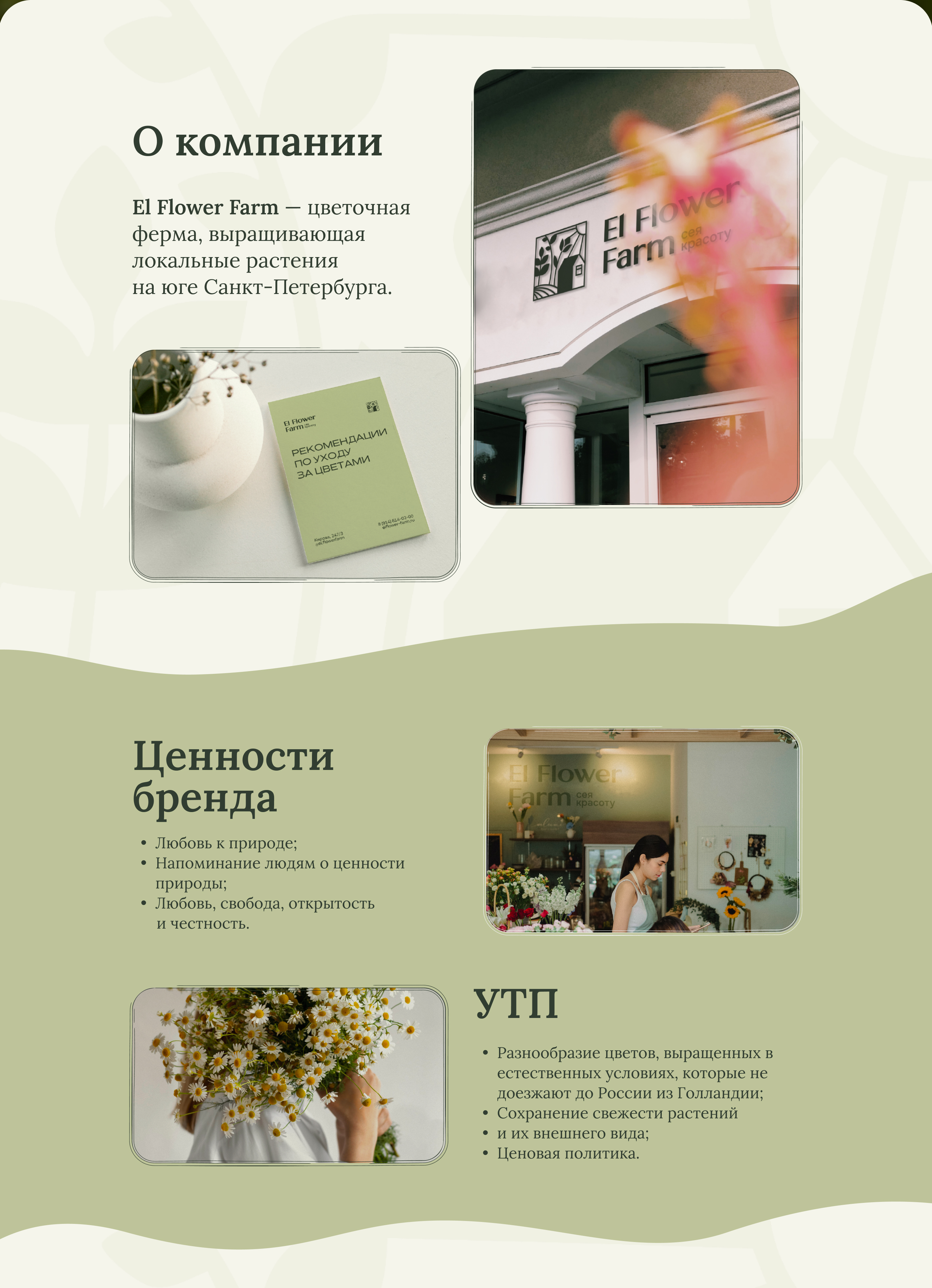 Баннеры и дизайн соц.сетей El Flower Farm — Изображение №2 — Маркетинг на Dprofile
