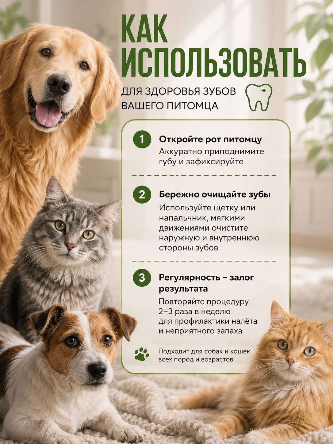 Товары для домашних животных — Изображение №14 — Маркетинг, Нейро на Dprofile