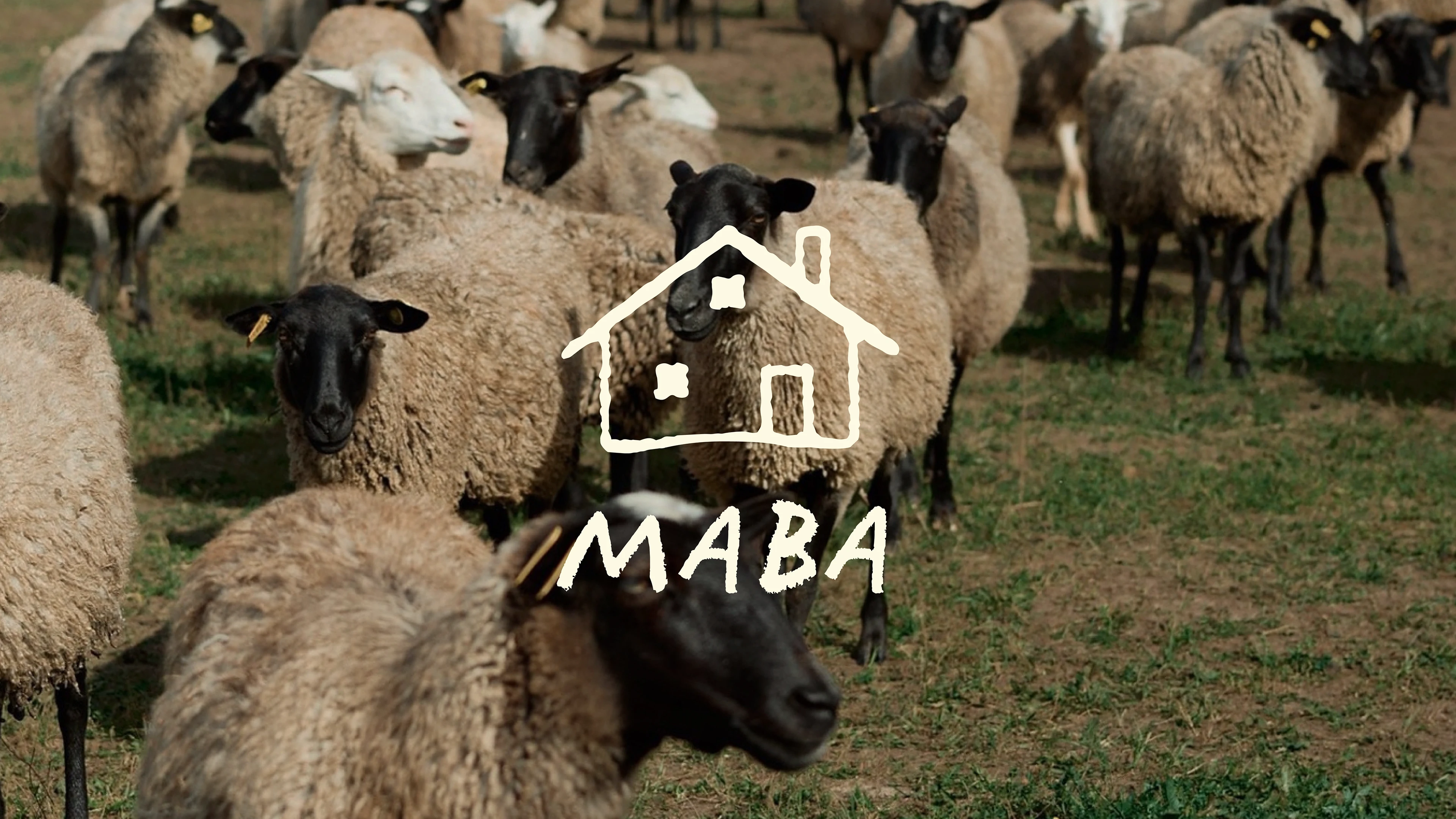 MAVA / branding for farm / visual identity — Изображение №1 — Брендинг на Dprofile