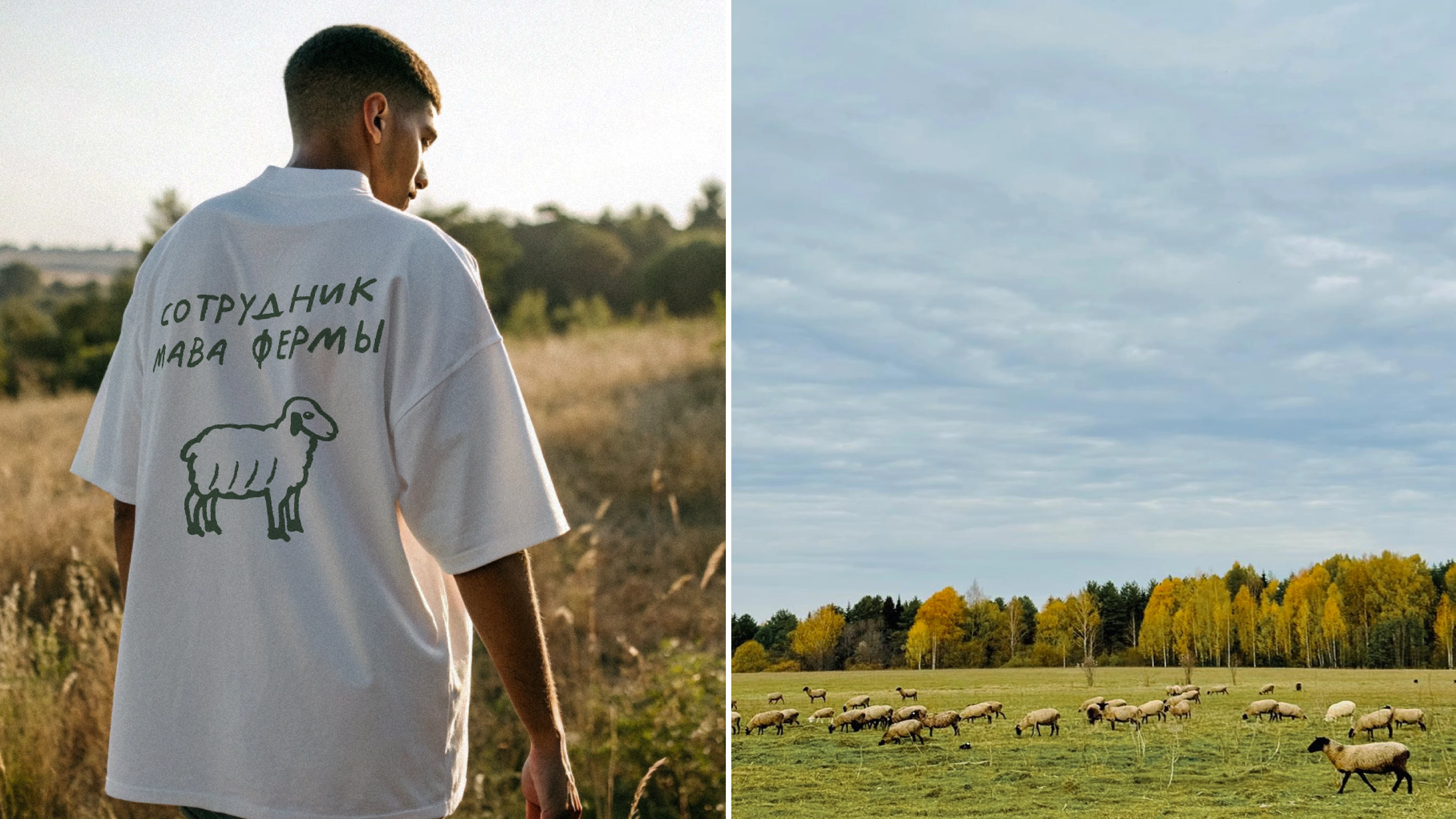 MAVA / branding for farm / visual identity — Изображение №4 — Брендинг на Dprofile