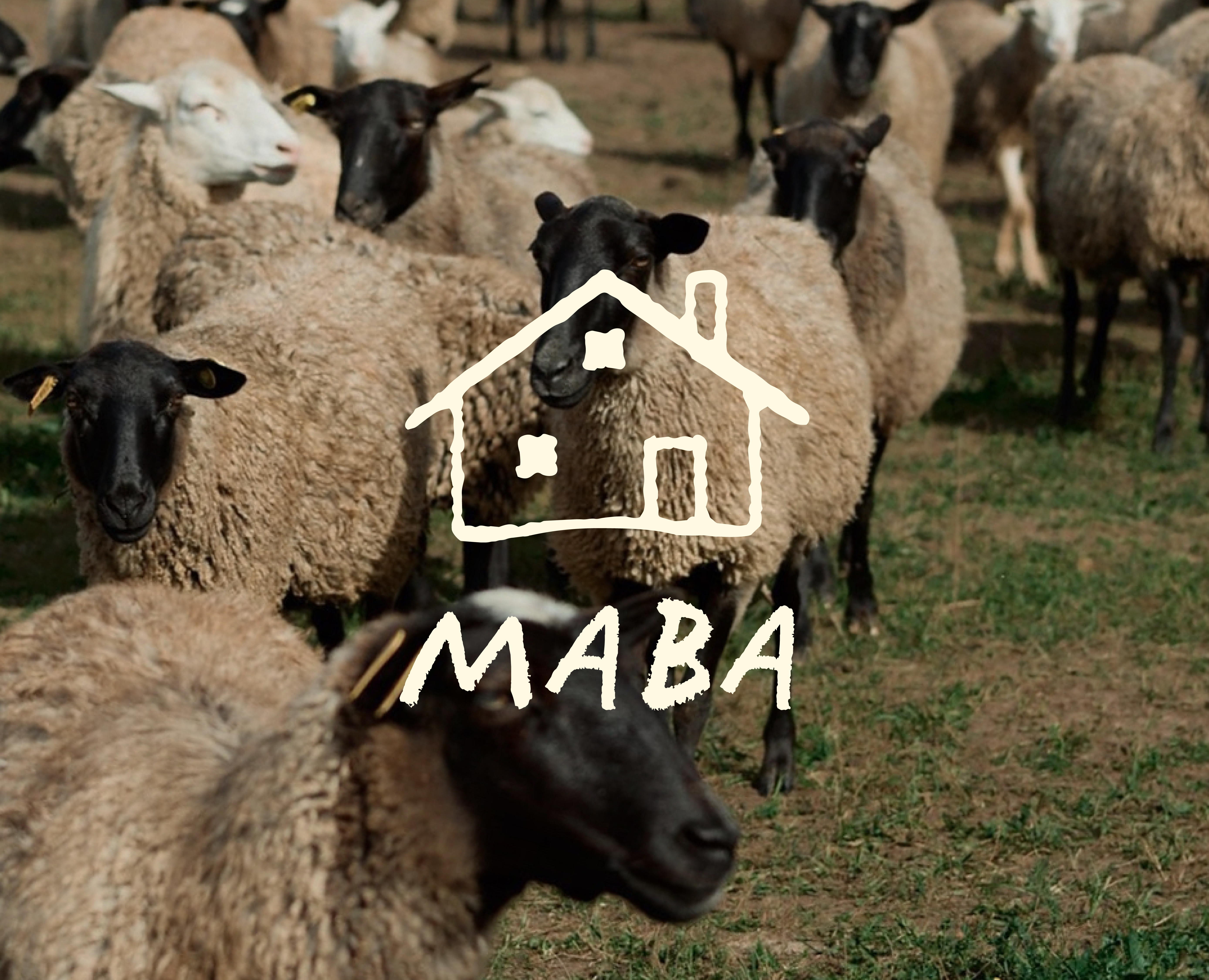 MAVA / branding for farm / visual identity — Брендинг на Dprofile
