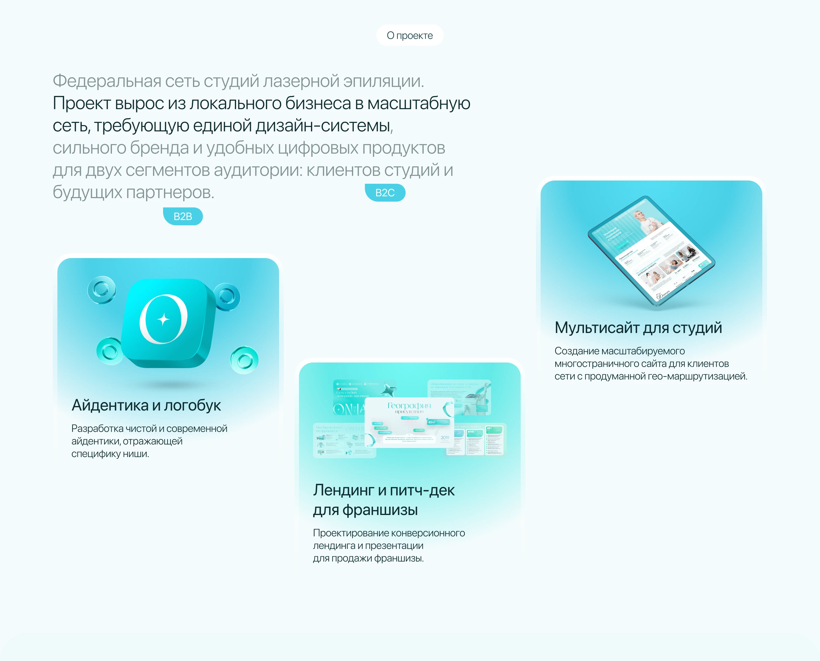 On Laser — Logobook & Websites — Изображение №2 — Интерфейсы, Брендинг на Dprofile