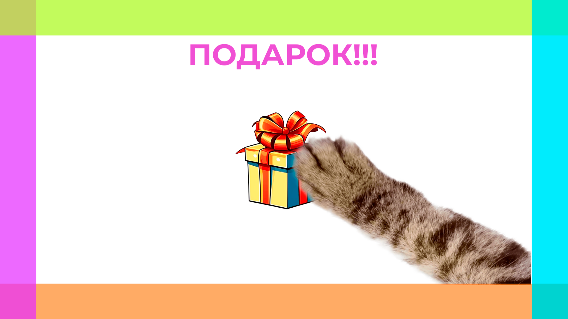 Рекламный ролик для зоомагазина "Мокрый нос" — Изображение №5 — Графика, Анимация на Dprofile