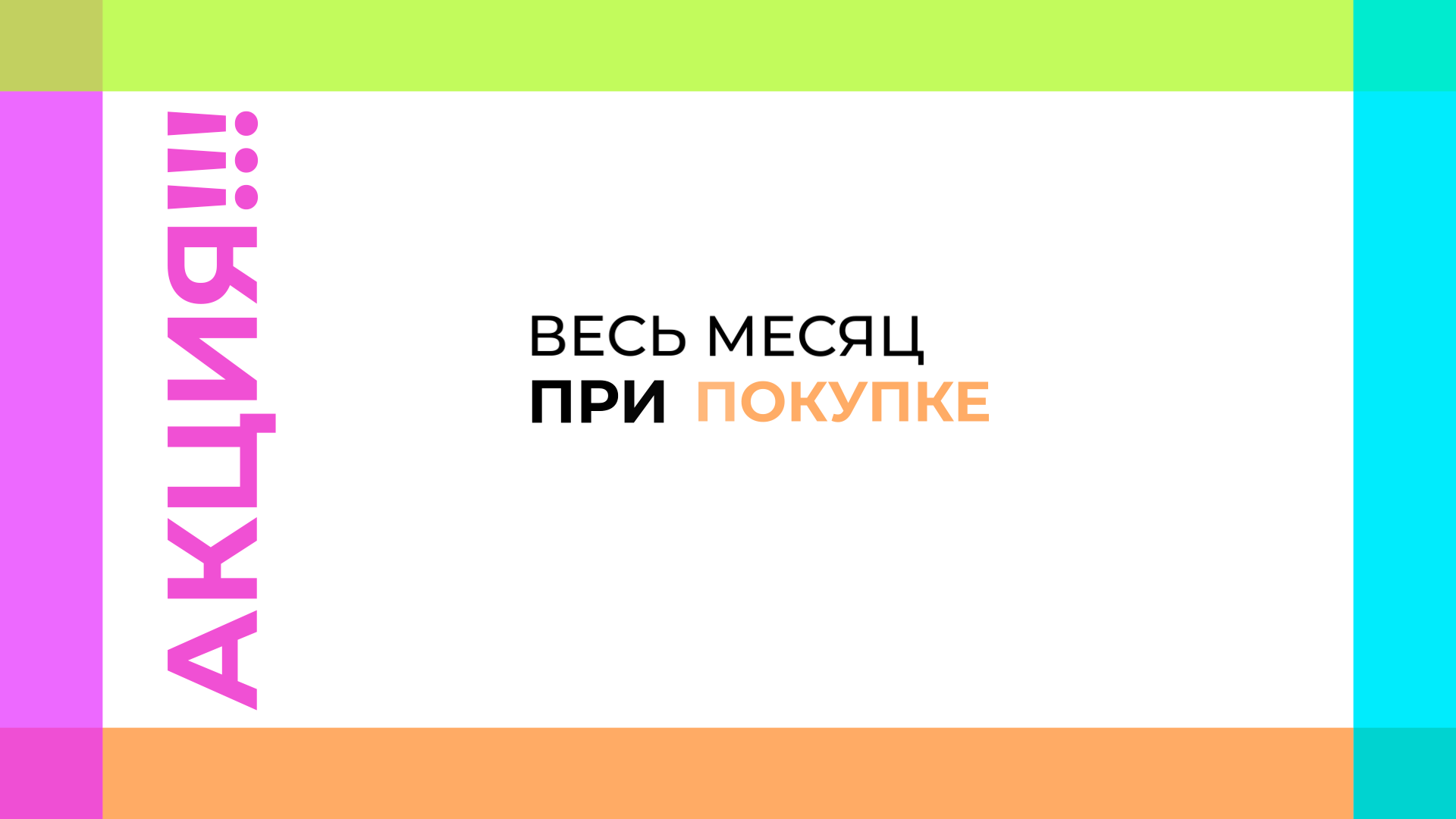 Рекламный ролик для зоомагазина "Мокрый нос" — Изображение №3 — Графика, Анимация на Dprofile