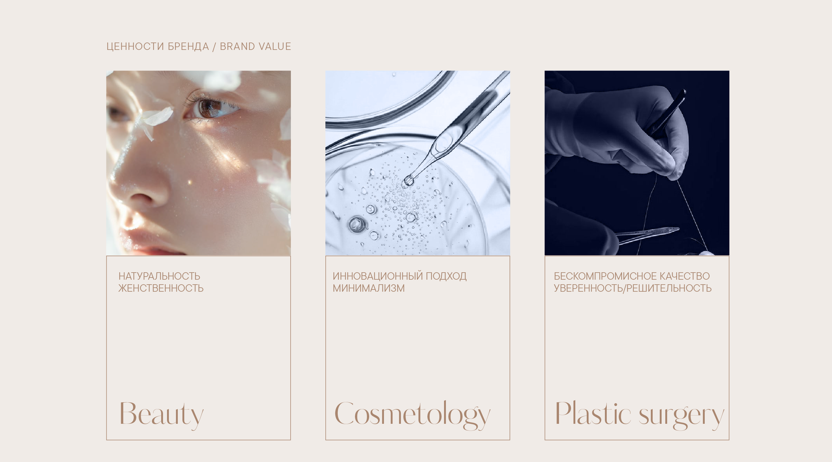 Lady Di. Beauty & Plastic Surgery Clinic — Изображение №4 — Брендинг на Dprofile