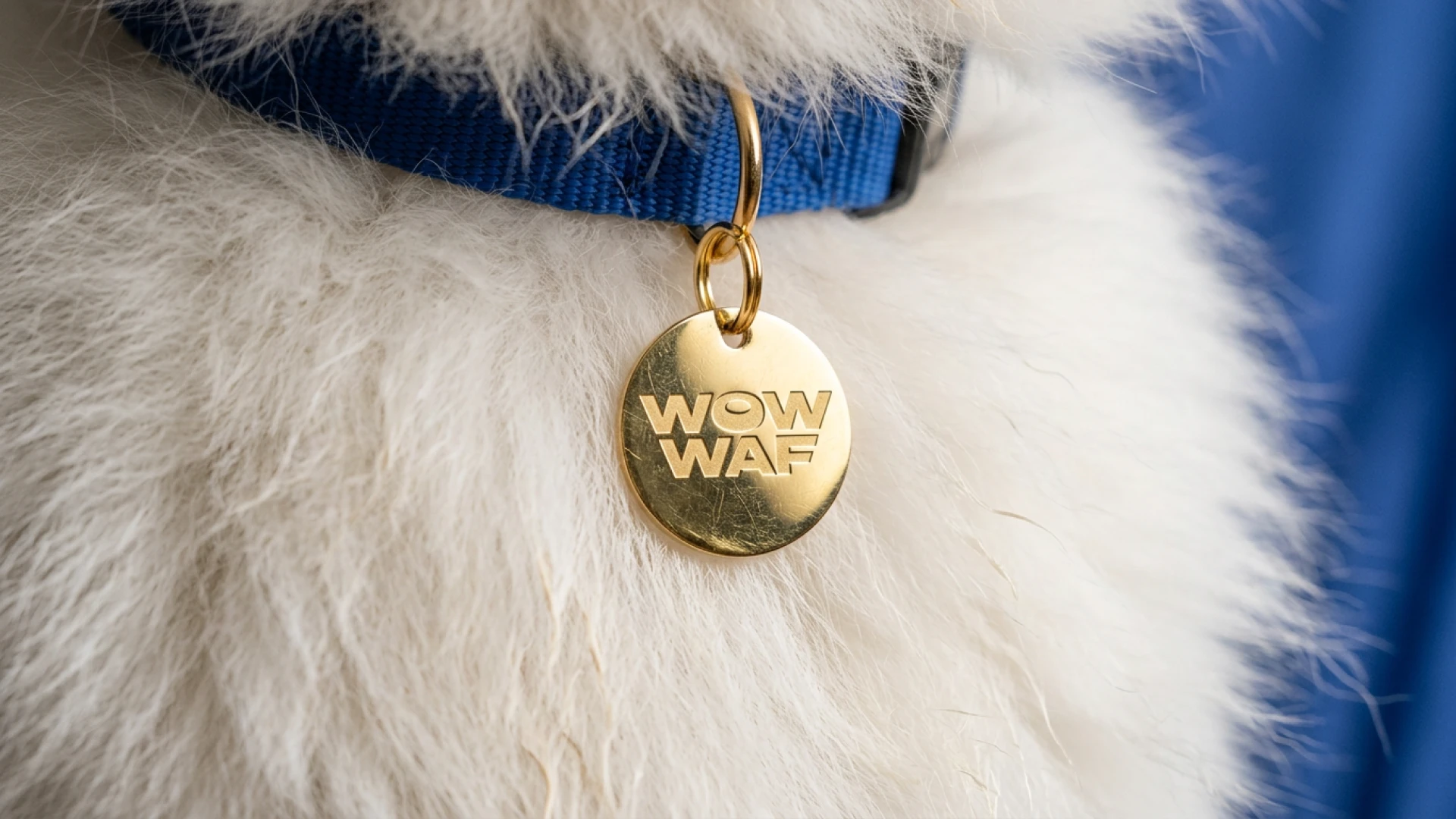 WOW WAF — Packaging Design — Изображение №3 — Брендинг, Нейро на Dprofile