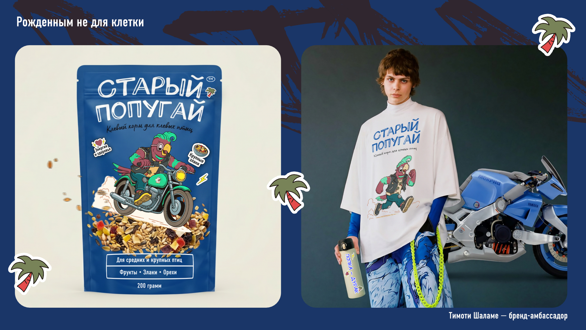 Бренд кормов для птиц с характером — Изображение №2 — Брендинг, Иллюстрация на Dprofile