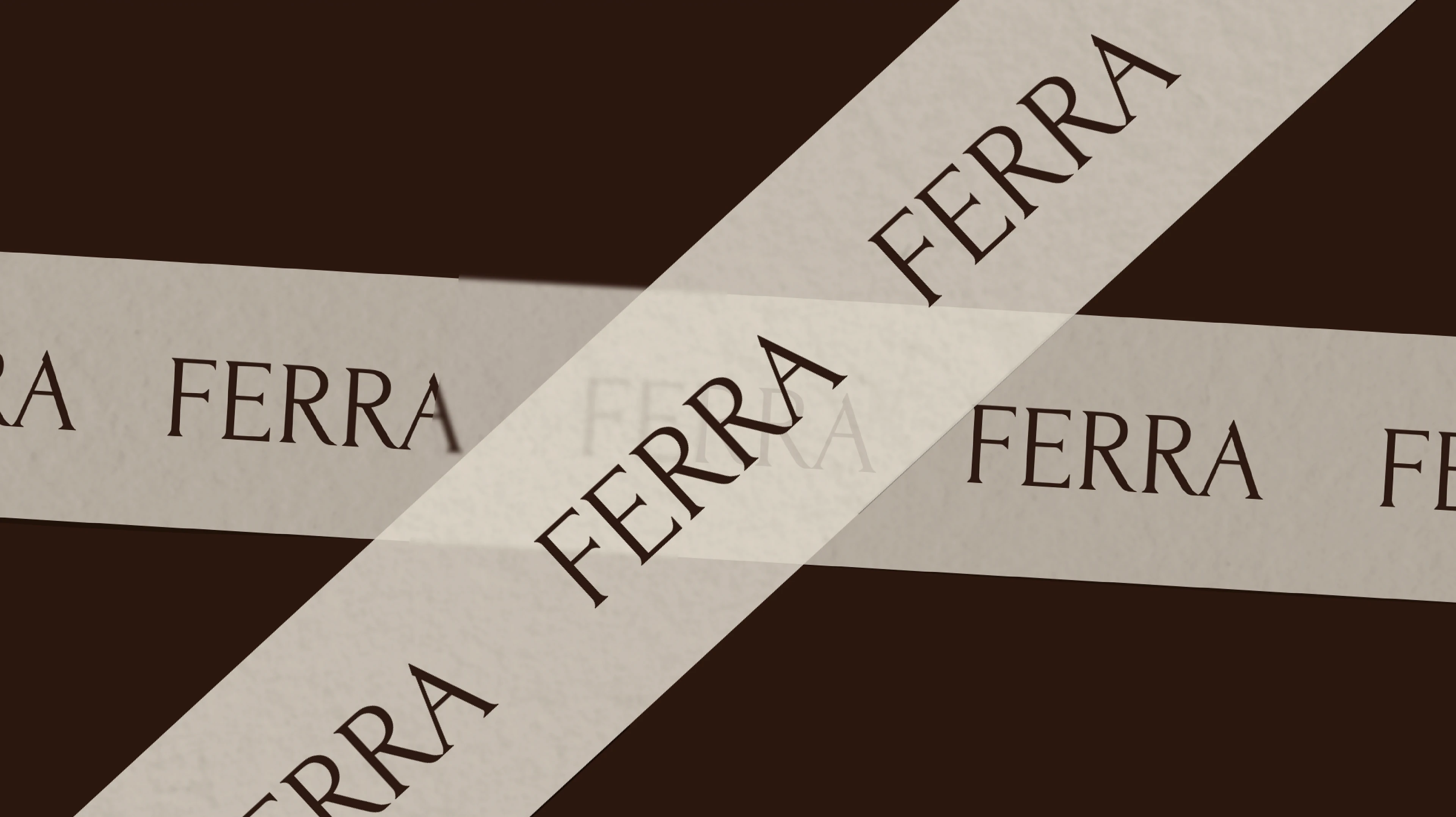 FERRA / branding for lingerie / visual identity — Изображение №8 — Брендинг, Графика на Dprofile