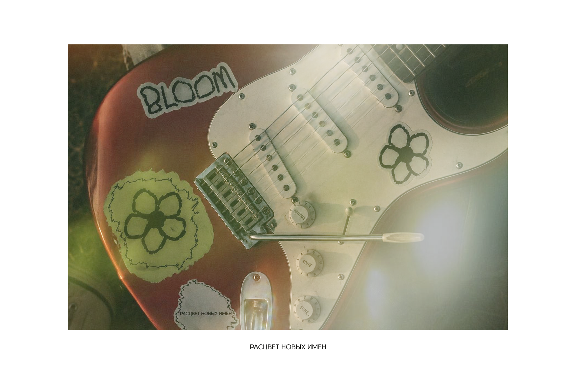 BLOOM - фестиваль новой русской инди-сцены — Изображение №15 — Брендинг на Dprofile
