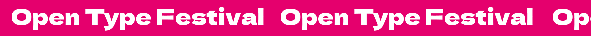 Лифлет для фестиваля Open Type Festival — Изображение №6 — Брендинг, Графика на Dprofile