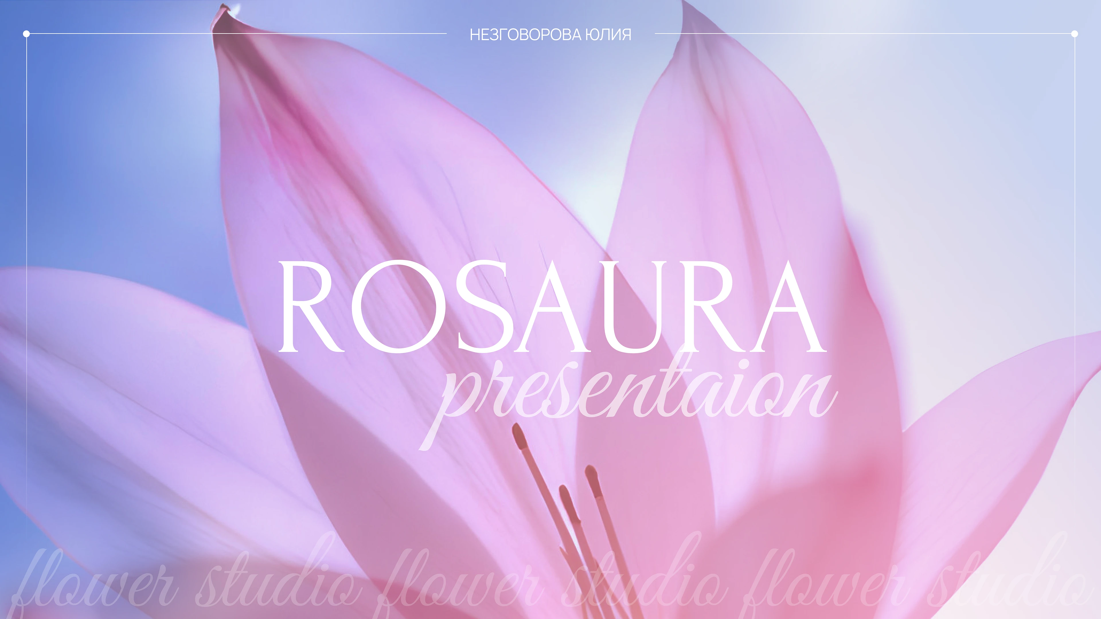 ROSAURA. Презентация для бренда. — Изображение №1 — Брендинг, Маркетинг на Dprofile