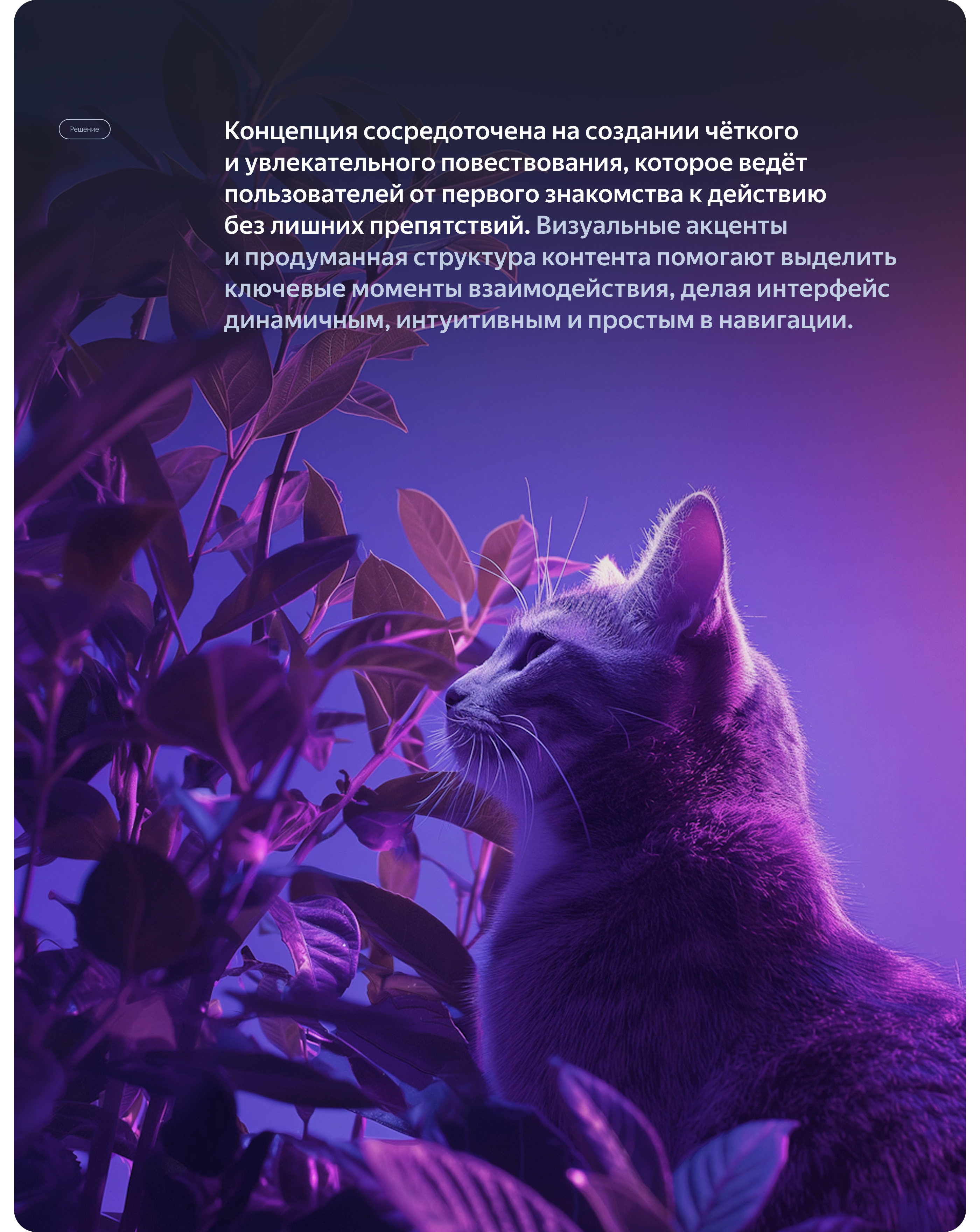 Лендинг для конференции Pet Tech от Яндекса | Веб-дизайн — Изображение №5 — Интерфейсы на Dprofile