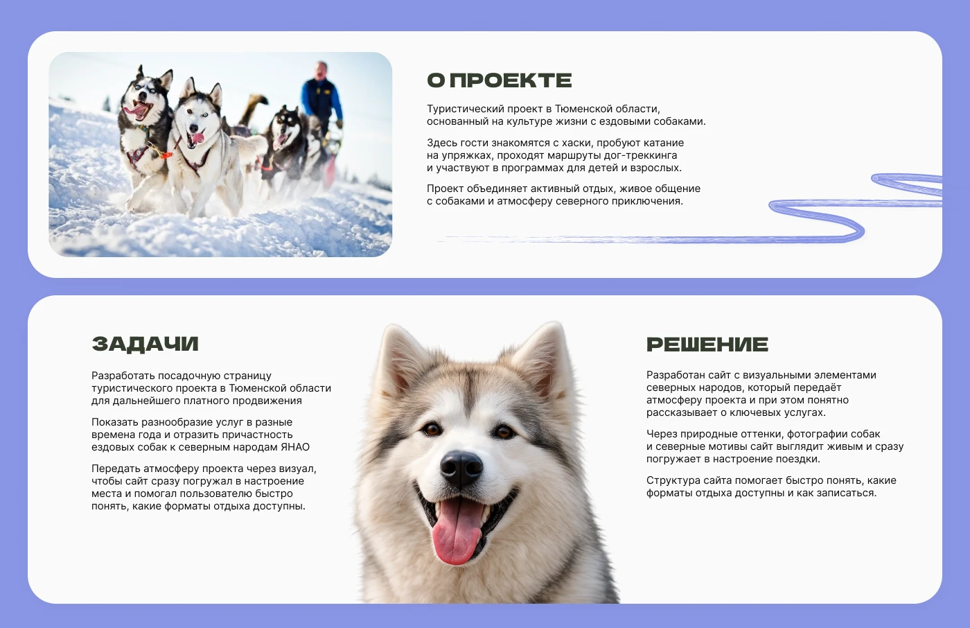 Быстрые лапы tourism landing page | Web Design UI/UX — Изображение №2 — Интерфейсы на Dprofile