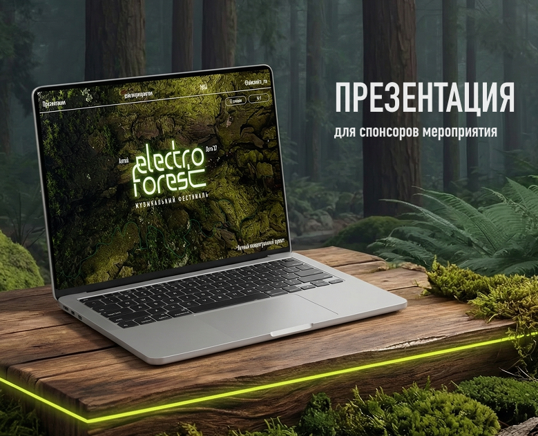 Презентация для спонсоров мероприятия | Музыкальный фестиваль на Dprofile