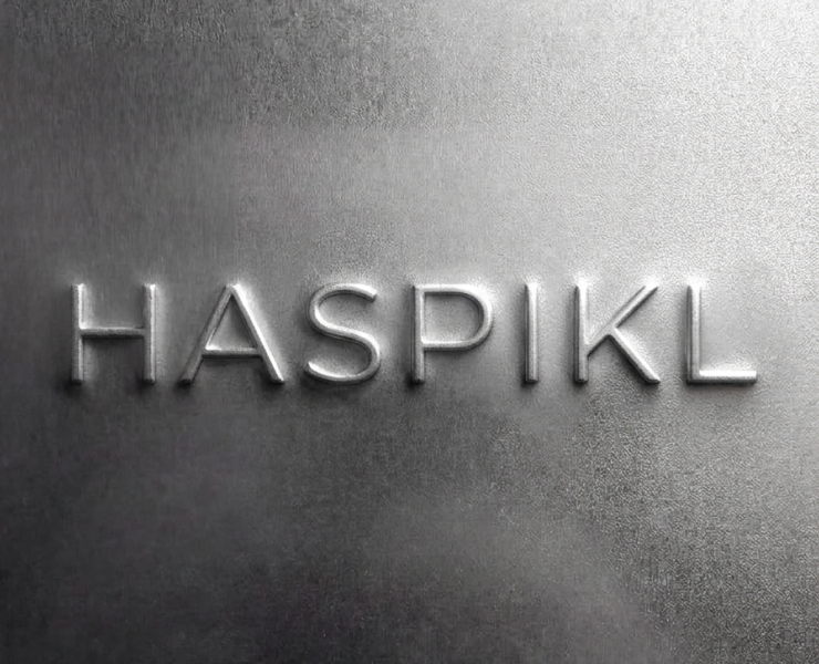 HASPIKL LOGO / visual identity — Брендинг, Графика на Dprofile