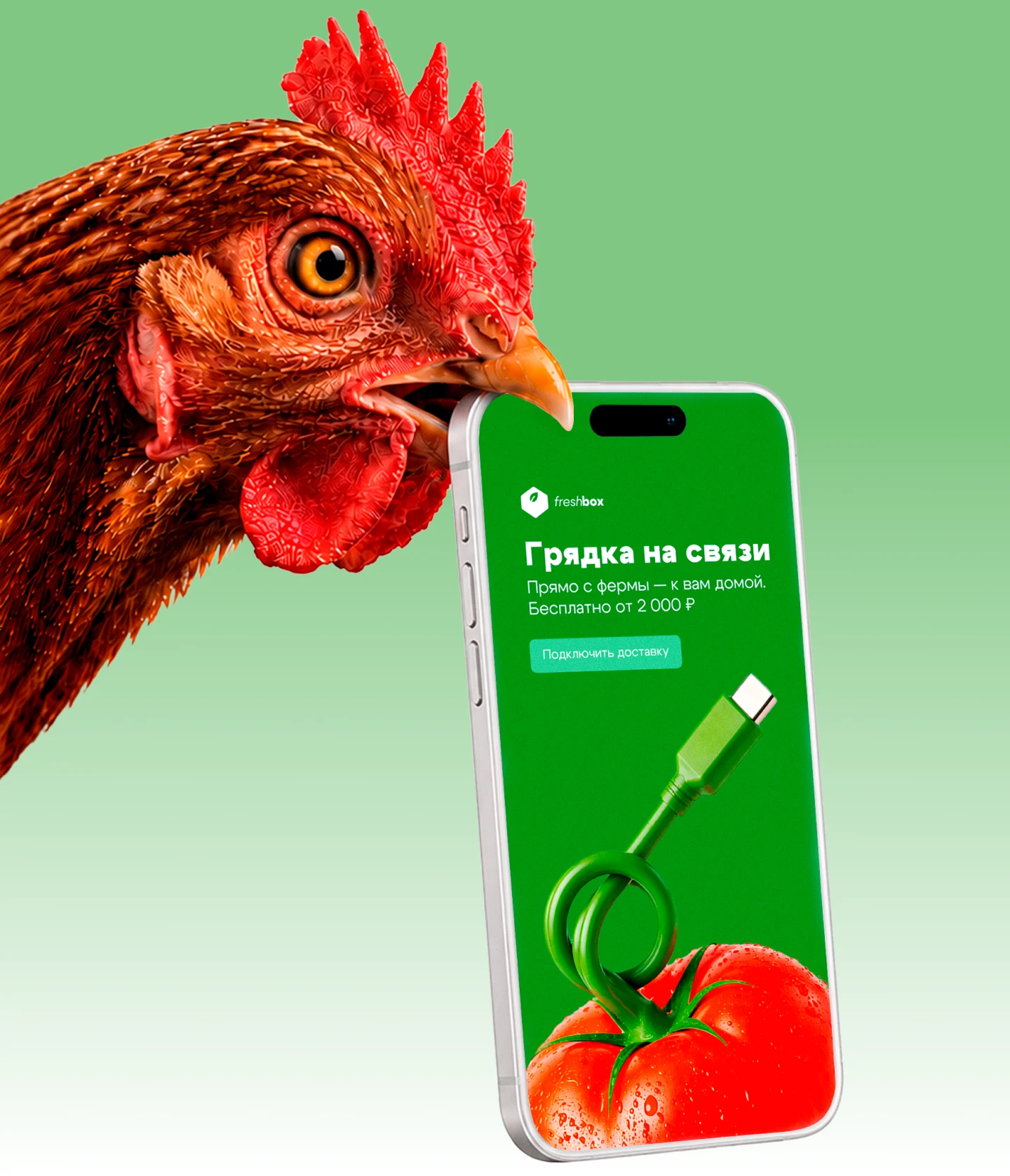 Цифровые баннеры для FreshBox — Изображение №4 — Интерфейсы, Маркетинг на Dprofile
