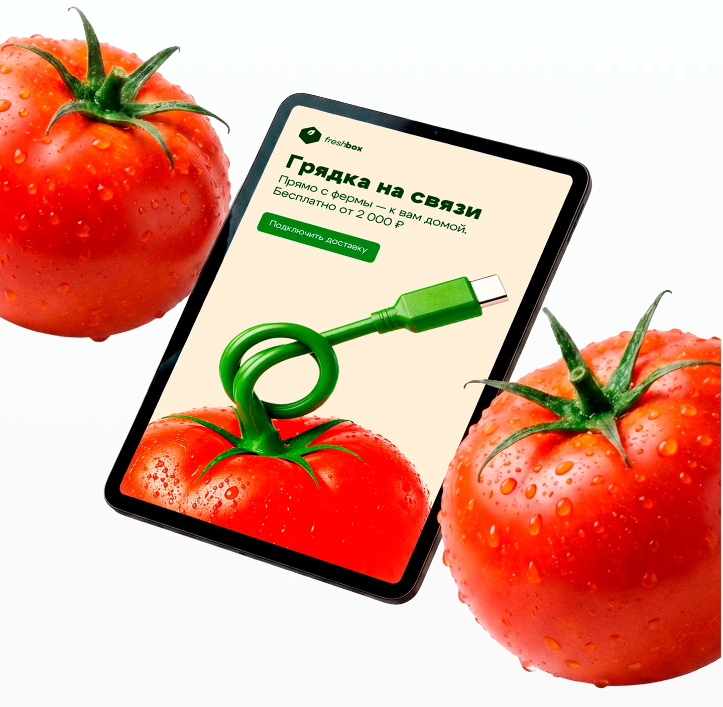 Цифровые баннеры для FreshBox — Изображение №6 — Интерфейсы, Маркетинг на Dprofile