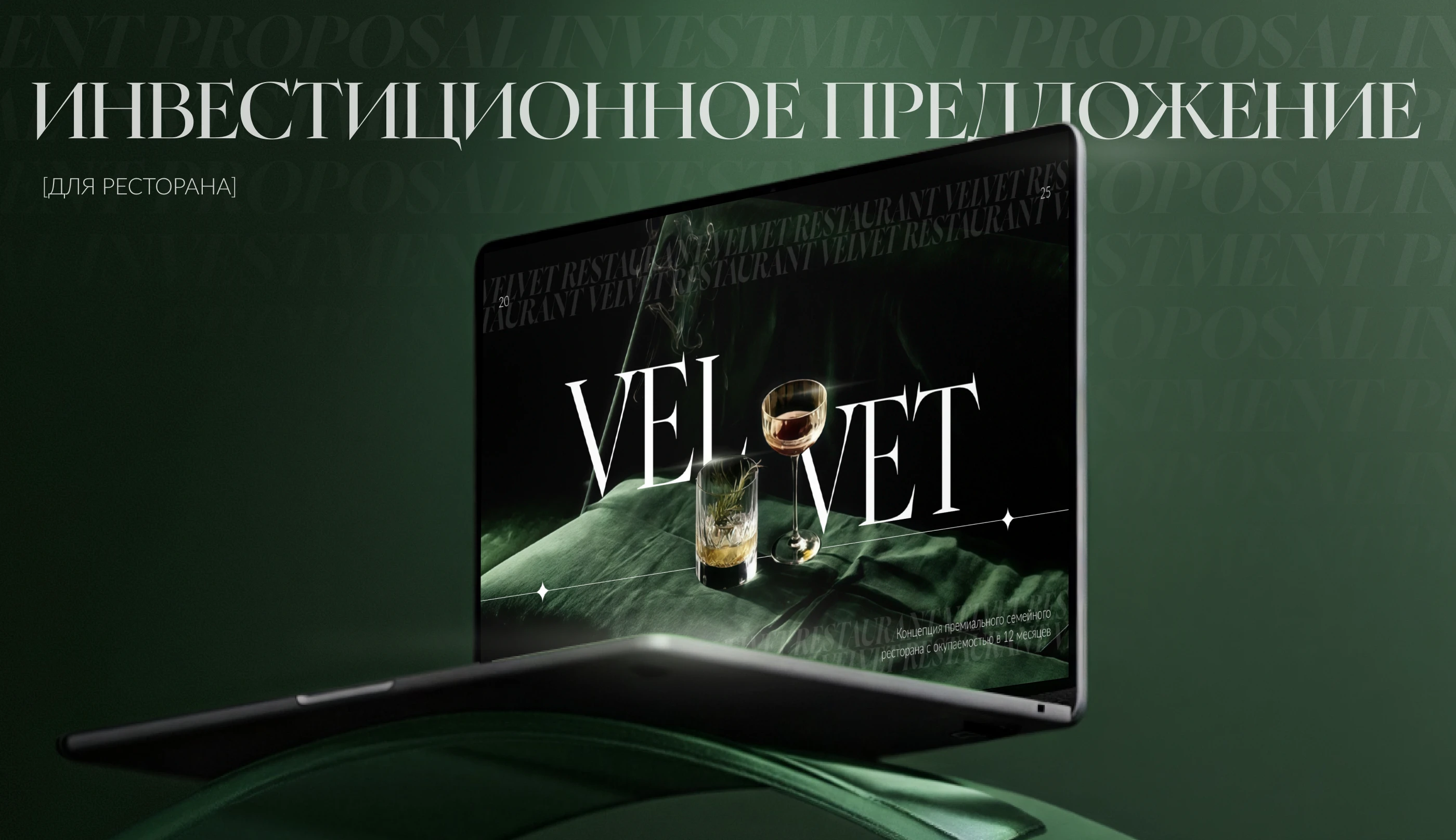 Презентация |Педложение для инвестора| Дизайн презентации — Изображение №1 — Интерфейсы, Брендинг на Dprofile