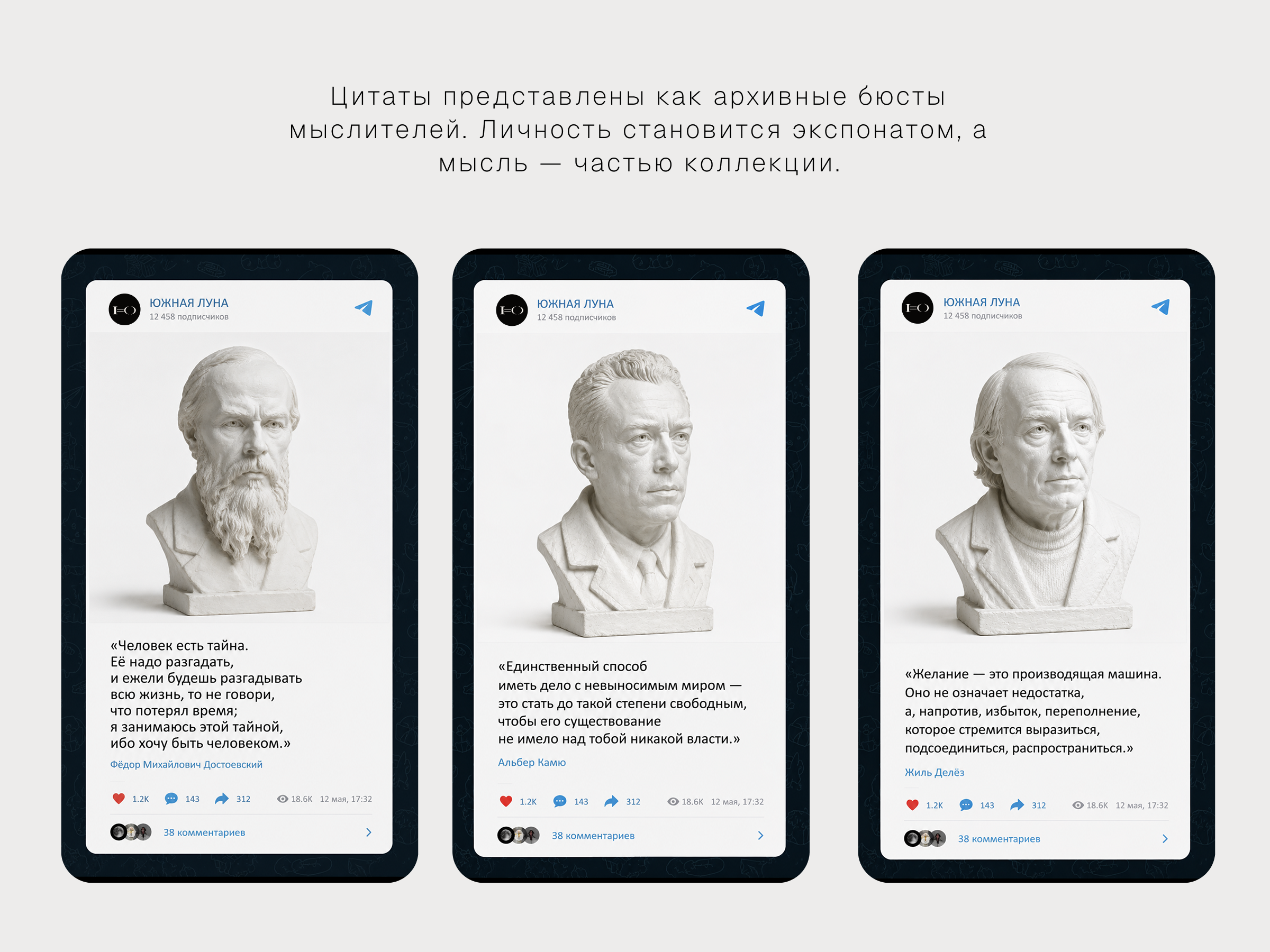 РЕБРЕНДИНГ | ЮЖНАЯ ЛУНА — Изображение №13 — Брендинг, Маркетинг на Dprofile