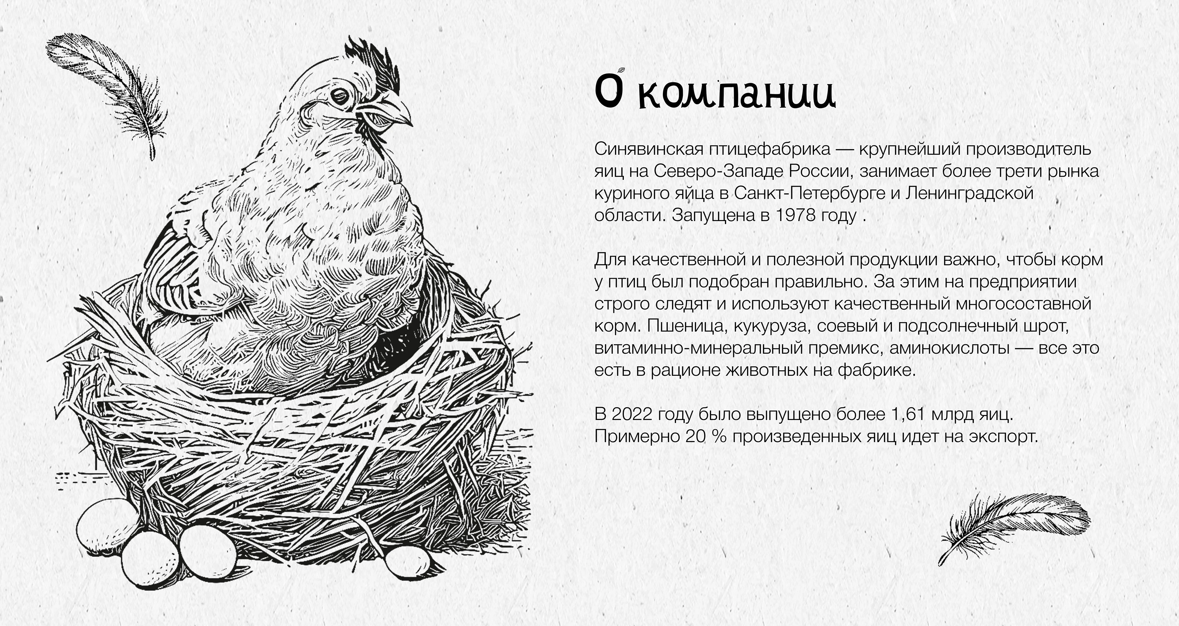 Дизайн этикетки для яиц — Изображение №2 — Интерфейсы, 3D на Dprofile