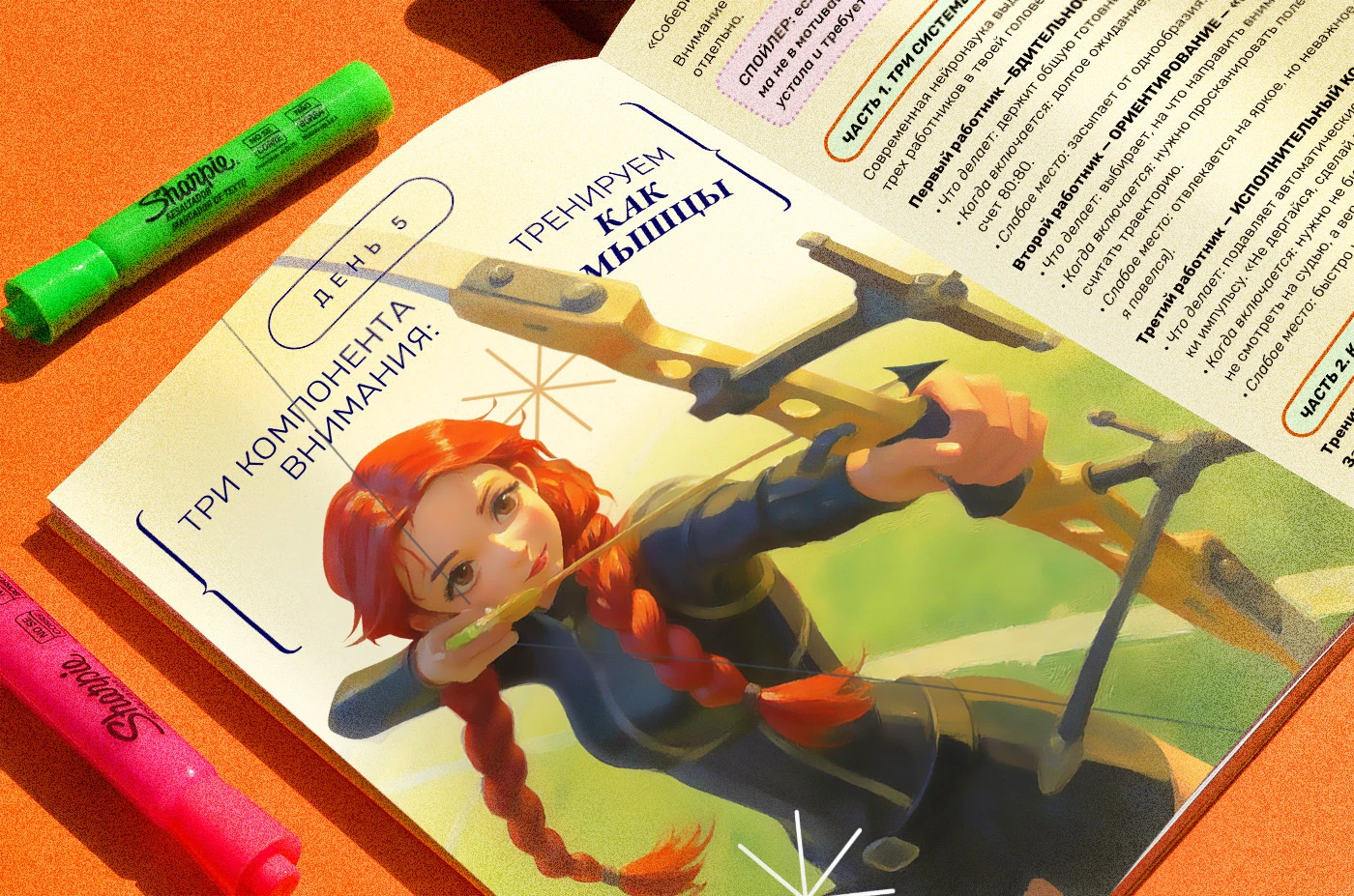 Верстка гайда для юных спортсменов — Изображение №8 — Графика, Нейро на Dprofile