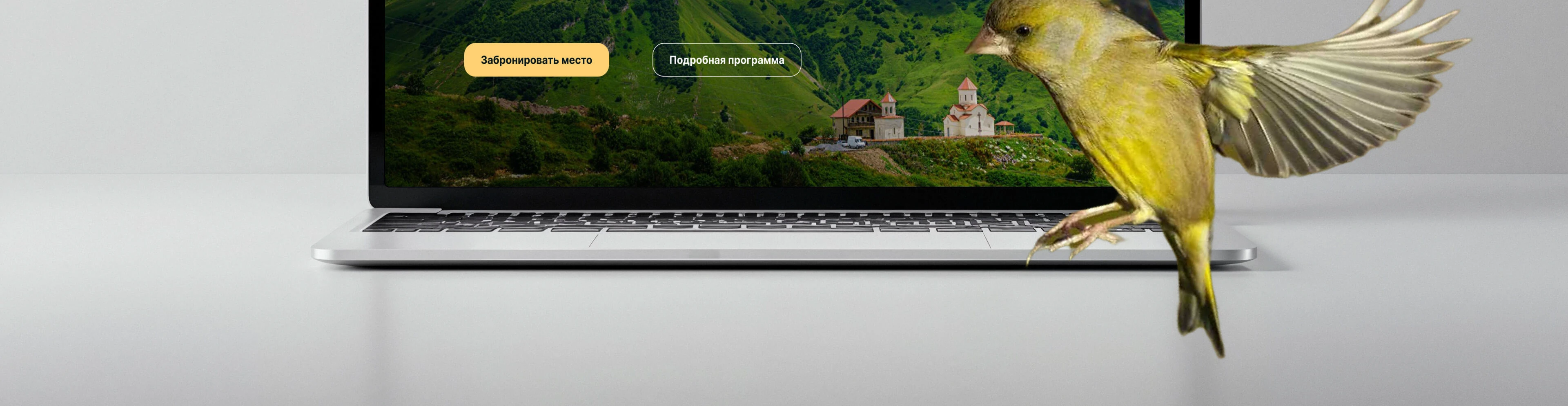 Website for tours — Изображение №2 — Интерфейсы на Dprofile