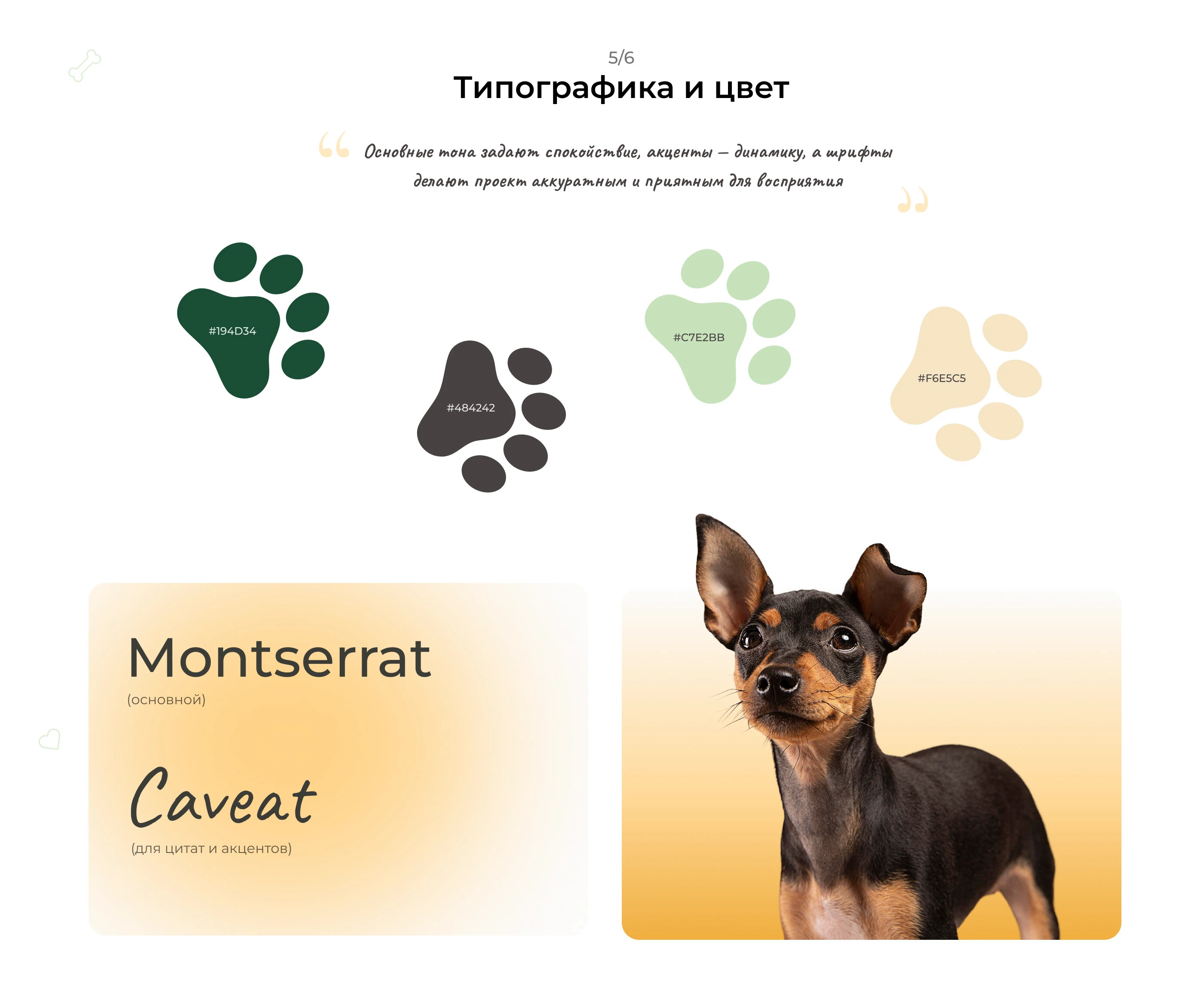 Landing page товары для животных — Изображение №4 — Интерфейсы на Dprofile