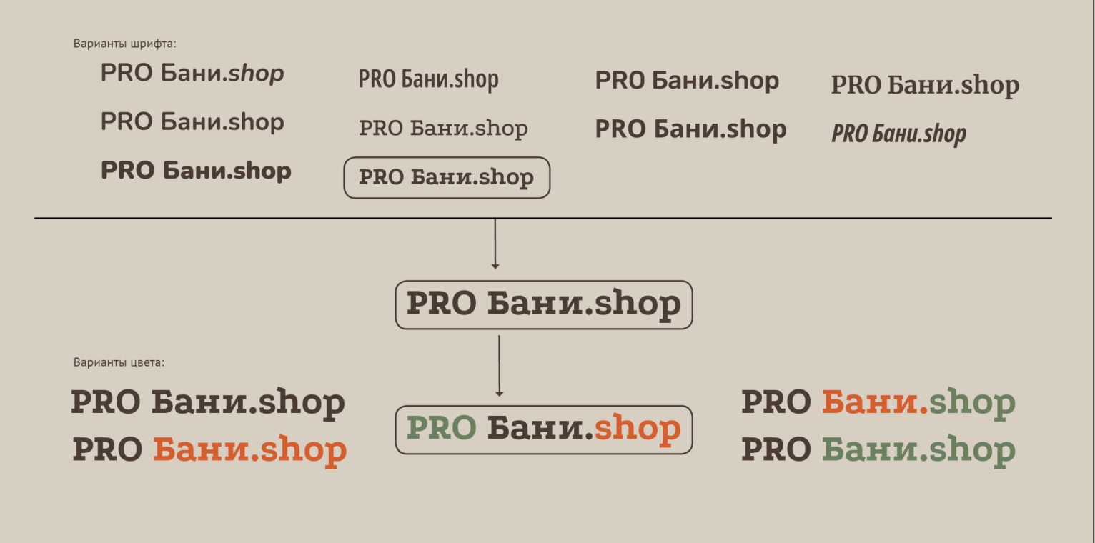 PRO Бани.shop: фирменный стиль и сайт — Изображение №4 — Интерфейсы, Брендинг на Dprofile