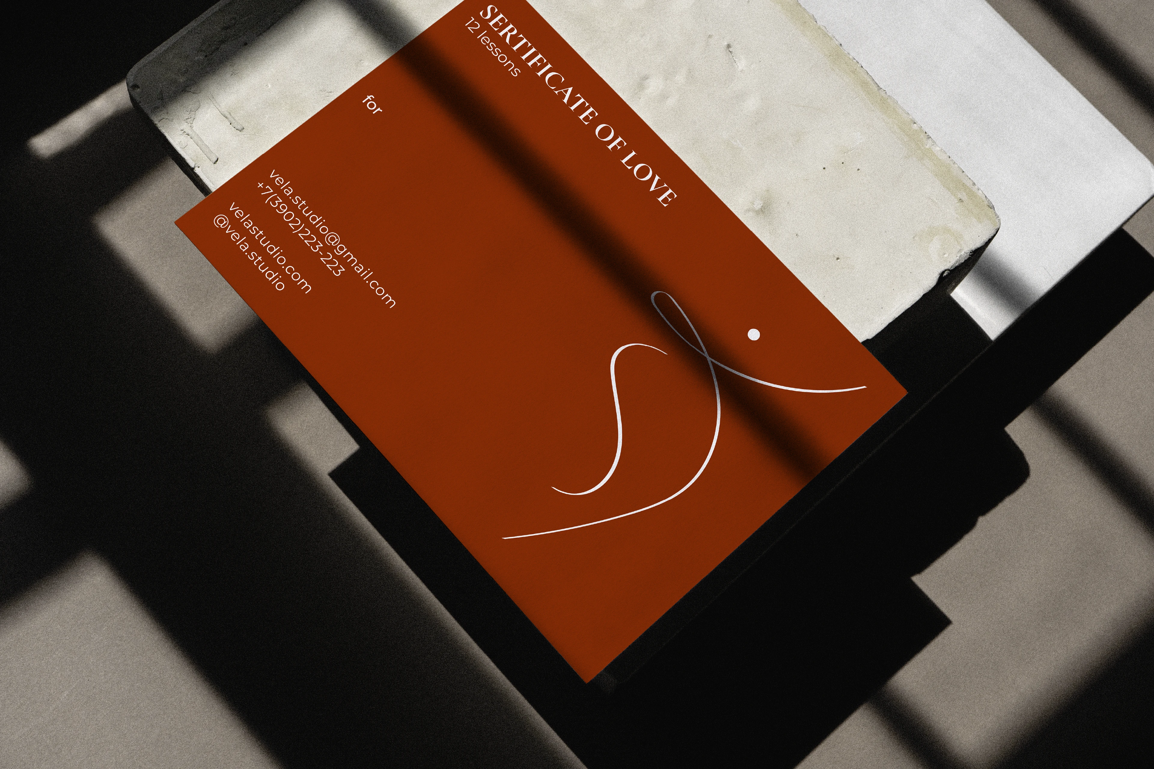VELA /branding for dance studio/ visual identity — Изображение №6 — Брендинг на Dprofile
