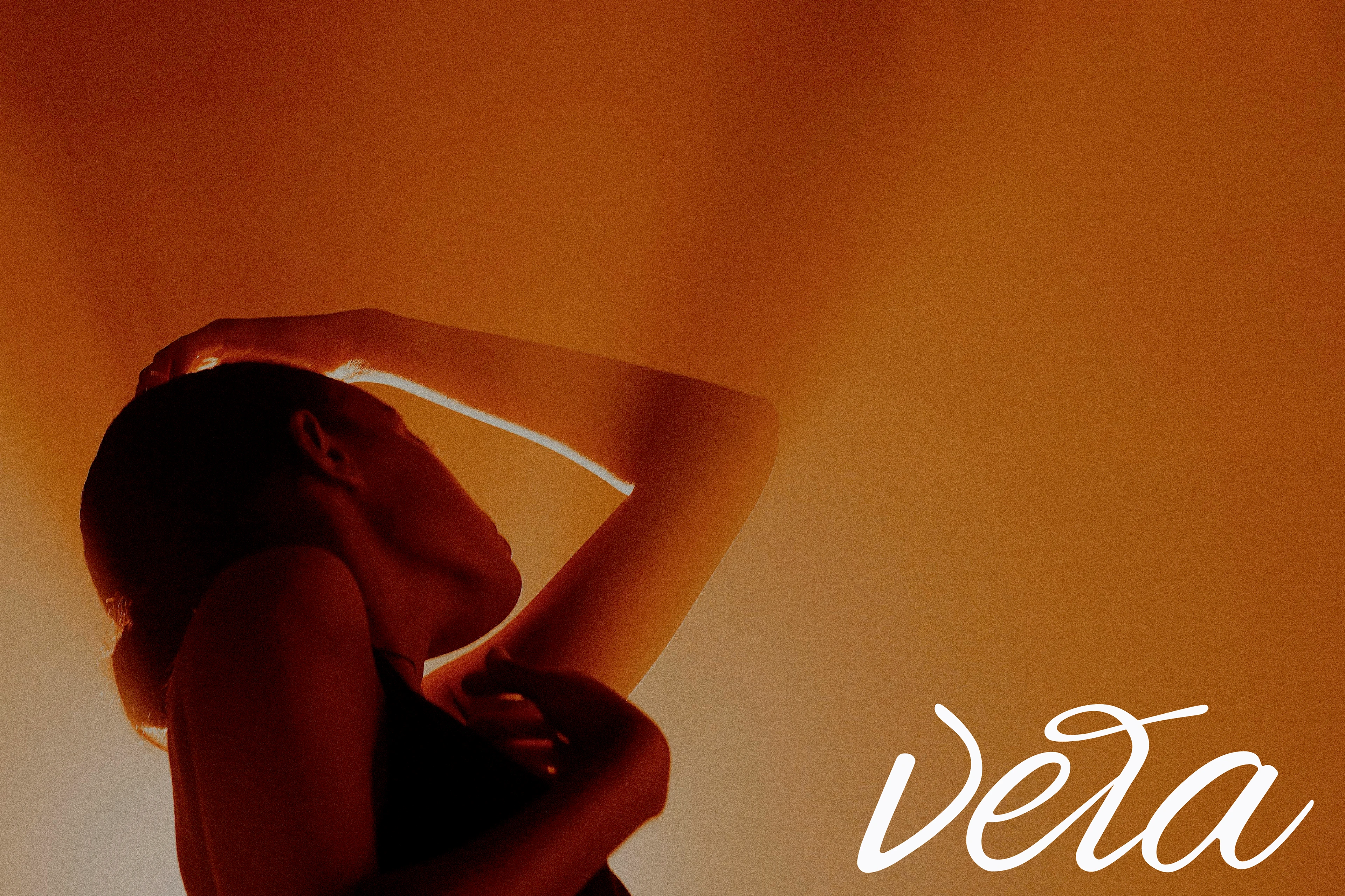 VELA /branding for dance studio/ visual identity — Изображение №1 — Брендинг на Dprofile